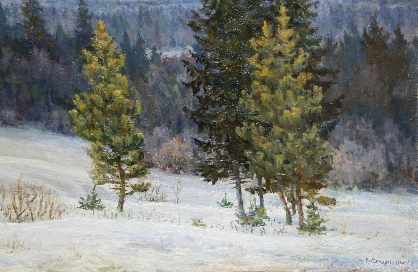 Oil painting Forest landscape Starshinov V. V.