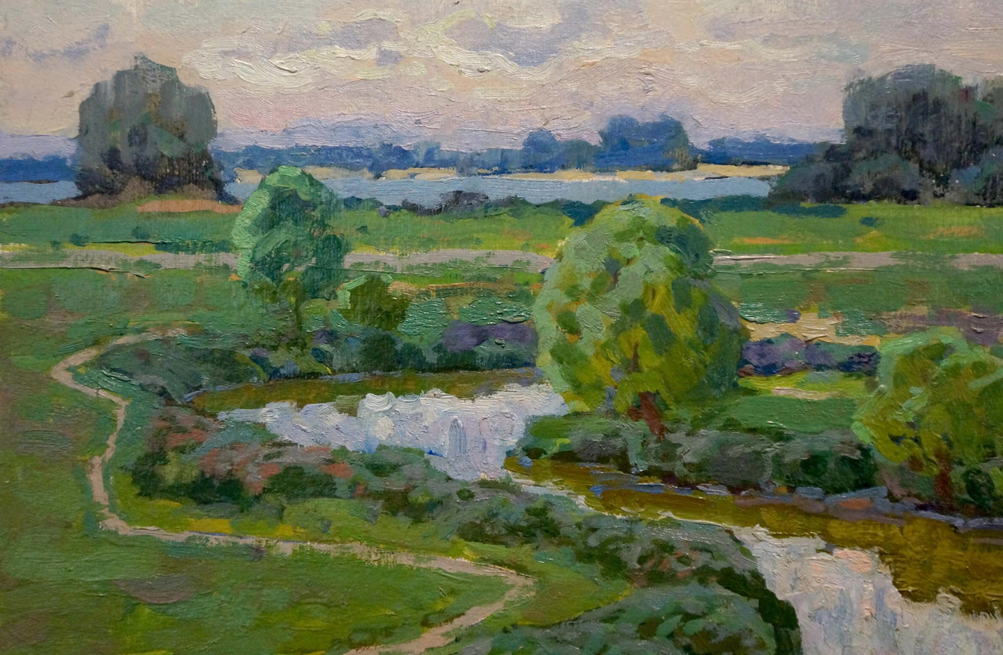 Oil painting In the Dnieper floodplain Ruban Grigory Savelievich