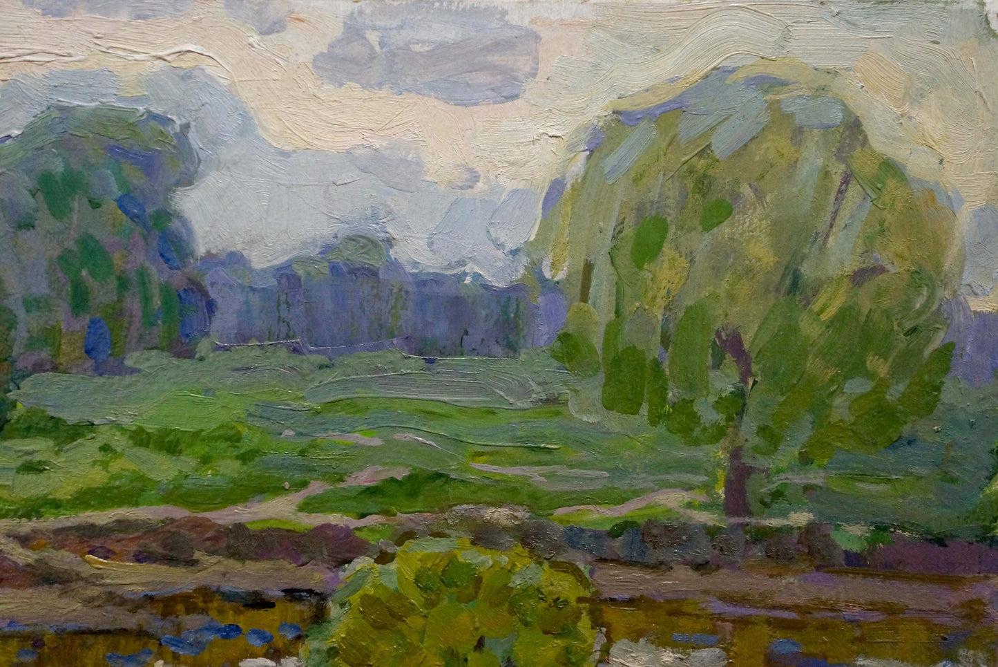 Oil painting In the summer by the river Ruban Grigory Savelievich