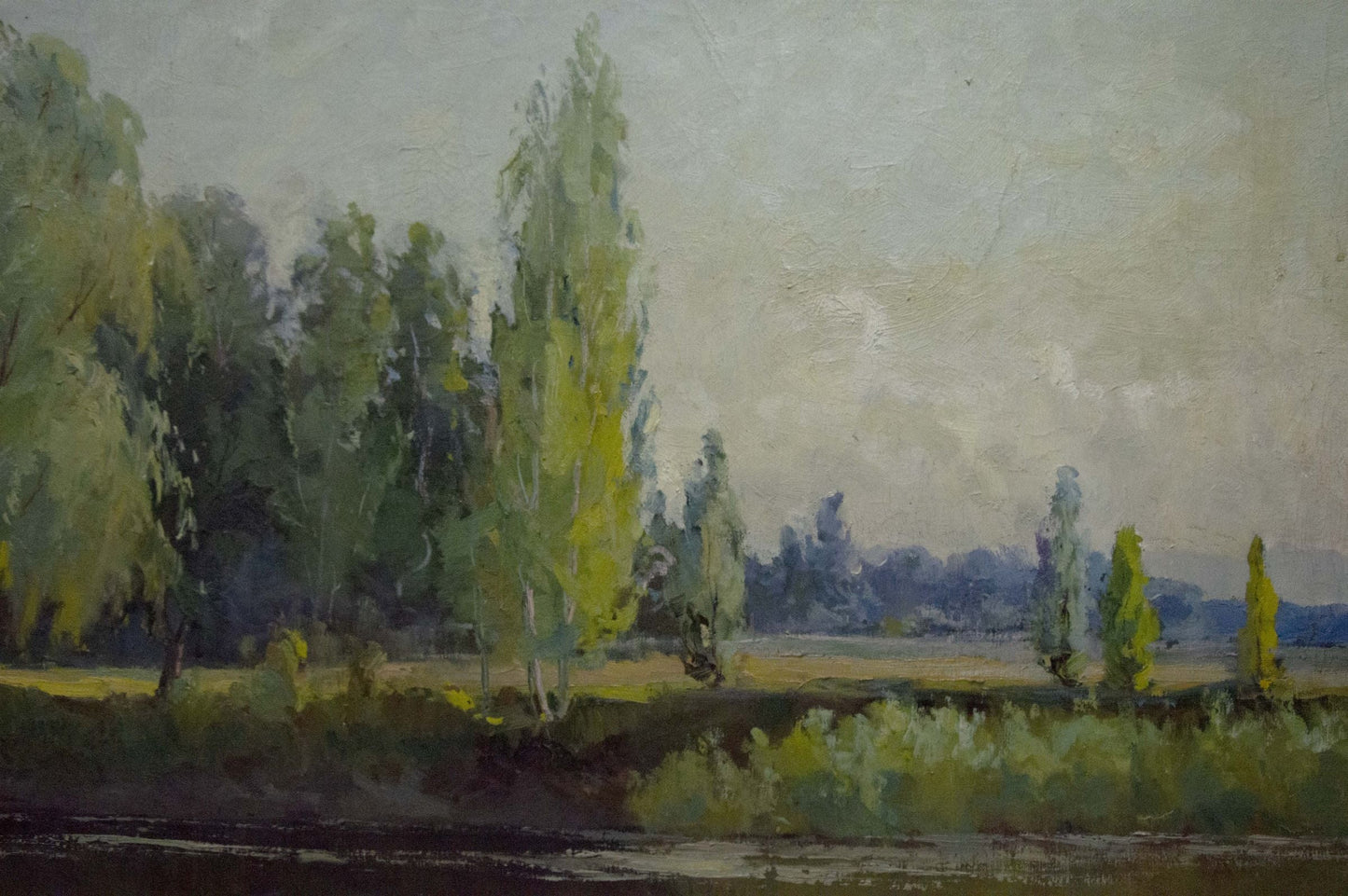 Oil painting Summer landscape Nepiypivo Vasily Ignatievich