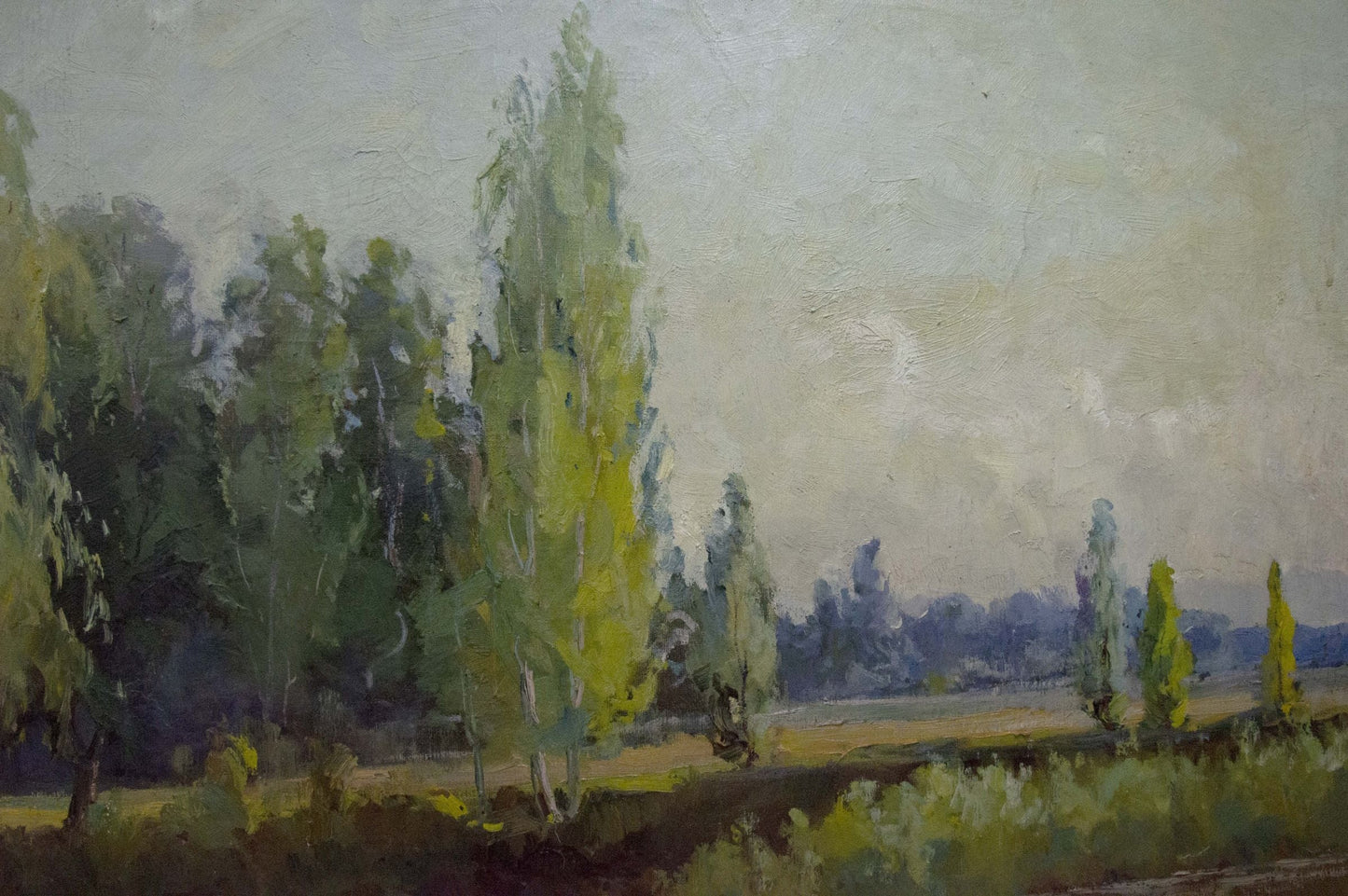 Oil painting Summer landscape Nepiypivo Vasily Ignatievich