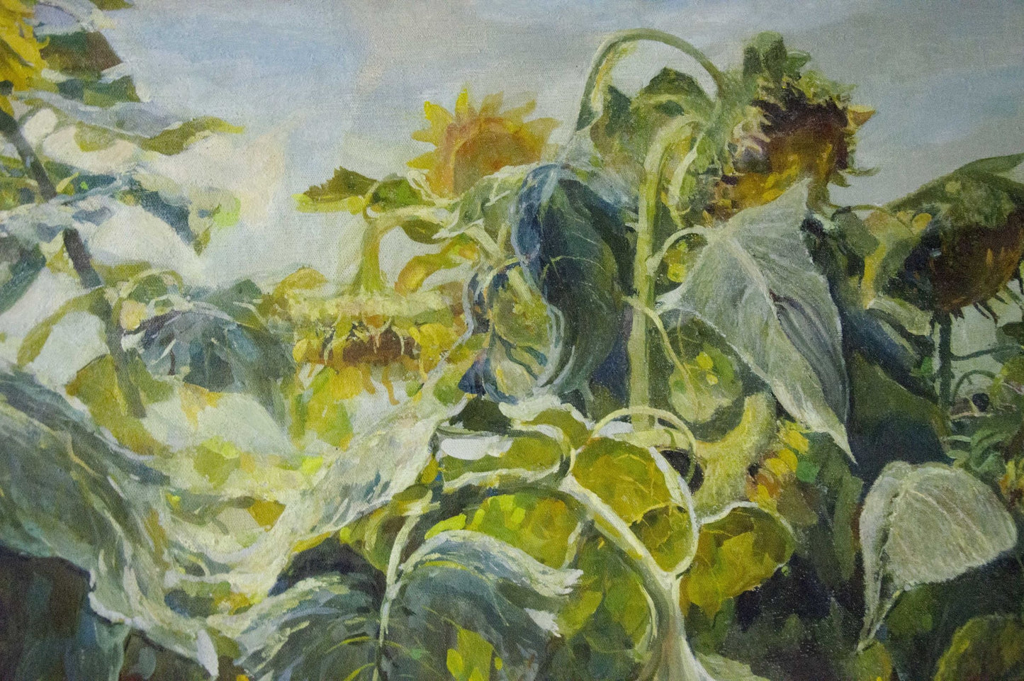 Oil painting Sunflowers are growing Sidoruk Vladimir Fedorovich