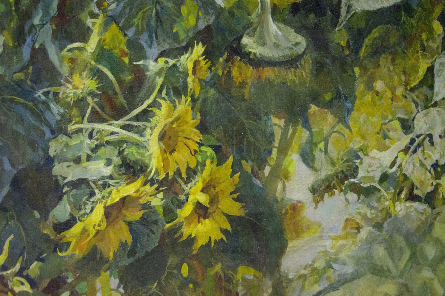 Oil painting Sunflowers are growing Sidoruk Vladimir Fedorovich