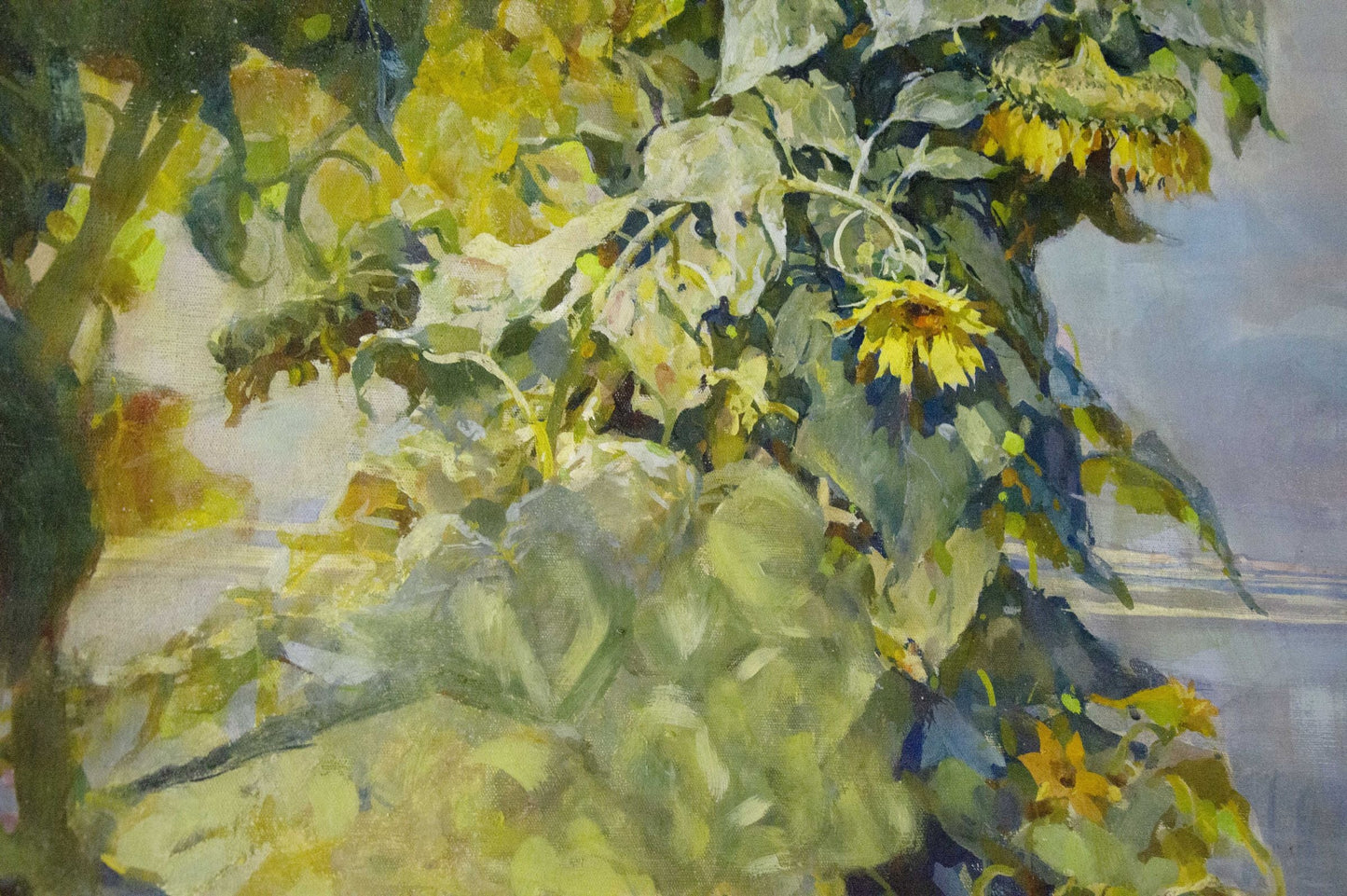 Oil painting Sunflowers are growing Sidoruk Vladimir Fedorovich