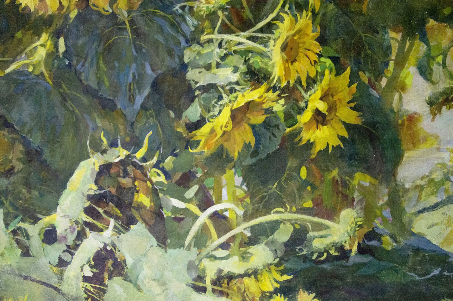 Oil painting Sunflowers are growing Sidoruk Vladimir Fedorovich