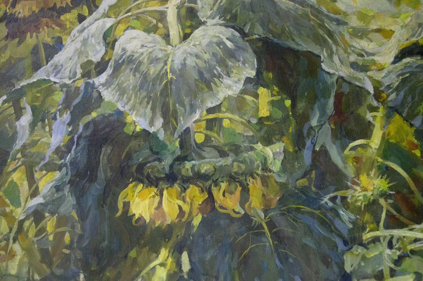 Oil painting Sunflowers are growing Sidoruk Vladimir Fedorovich