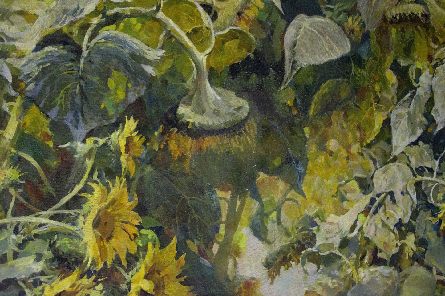 Oil painting Sunflowers are growing Sidoruk Vladimir Fedorovich