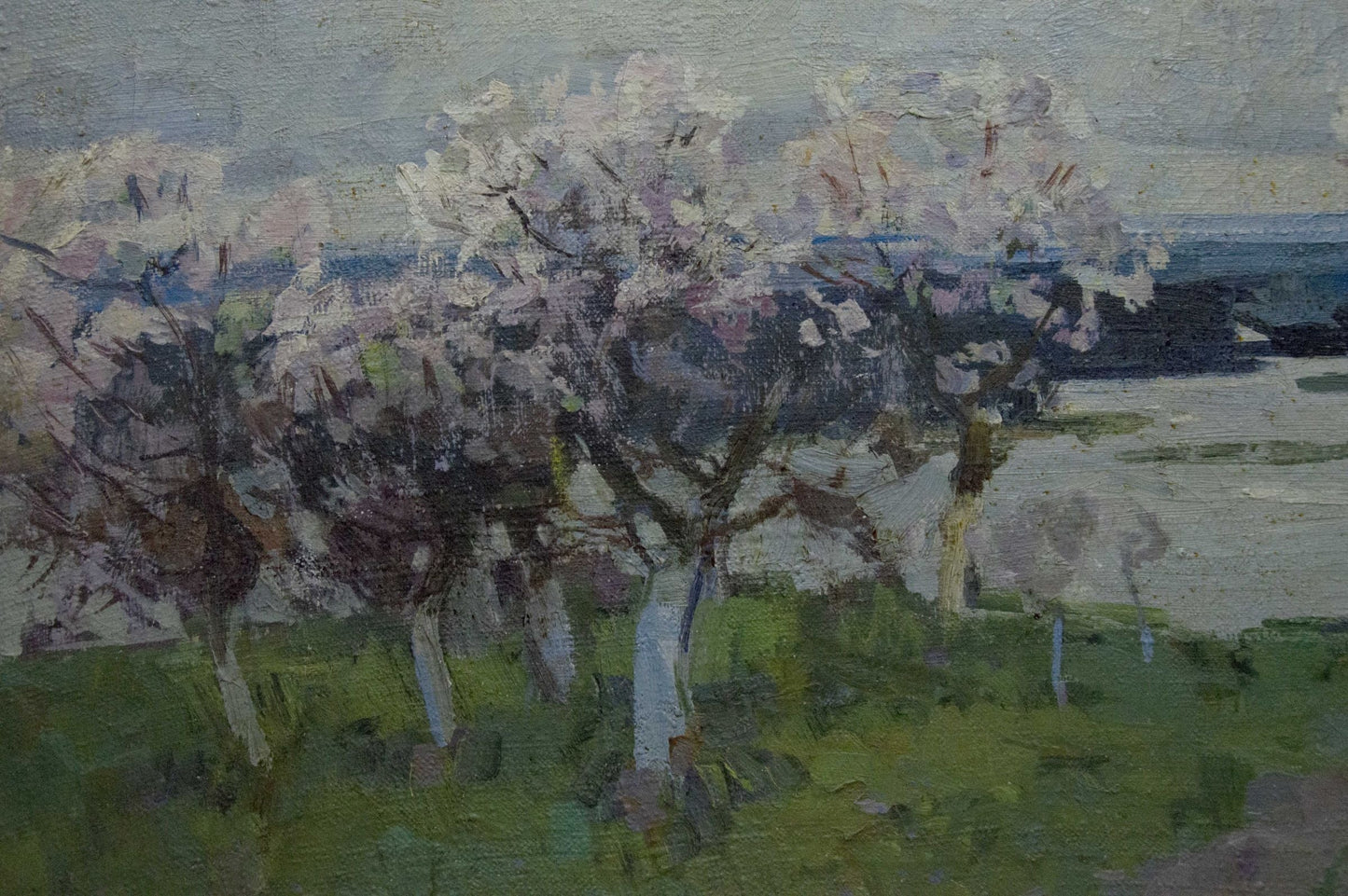 Oil painting Apple trees Zakharov Fedor Zakharovich