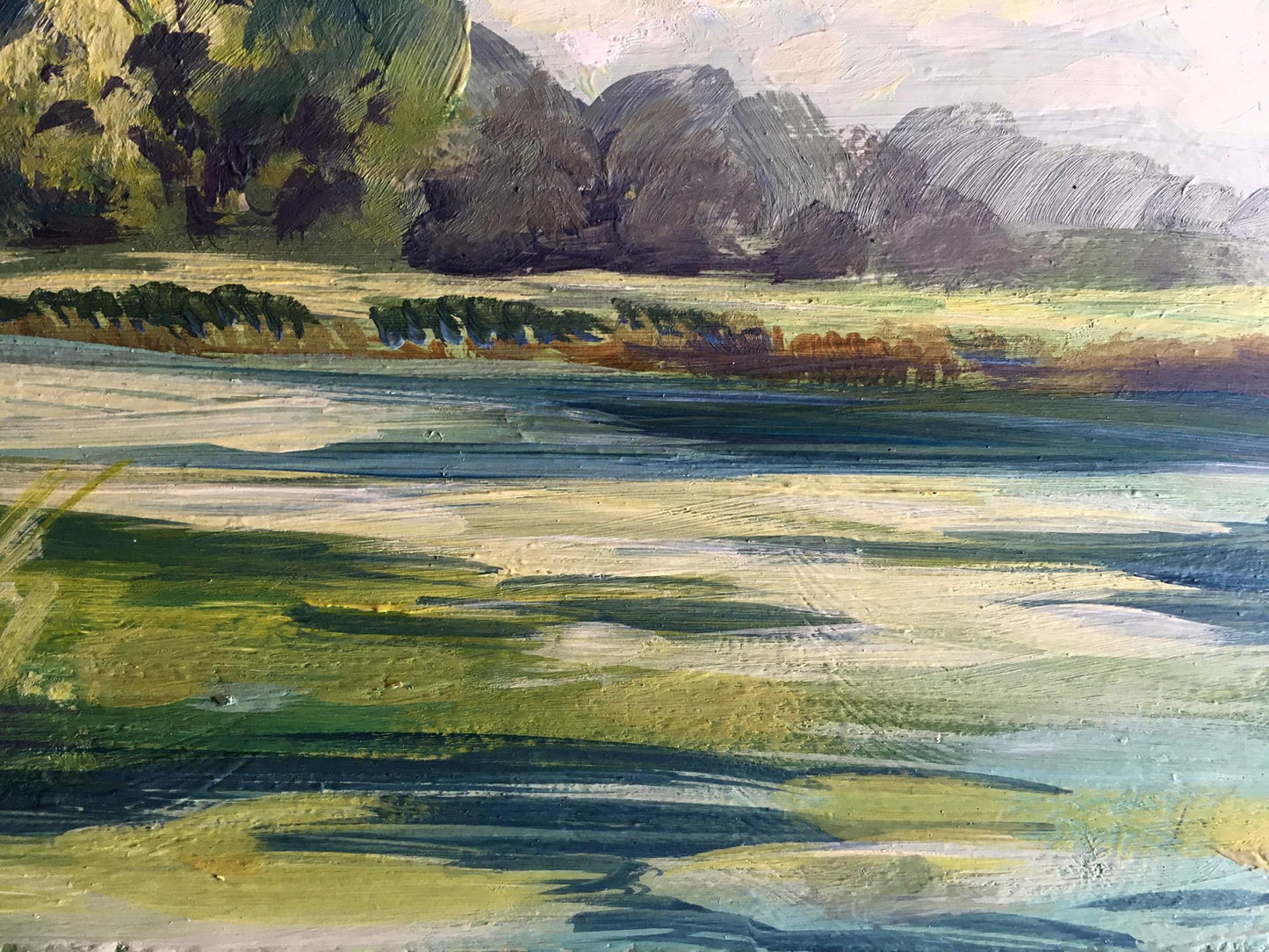 Oil painting Rest by the river Svetlana Gramm