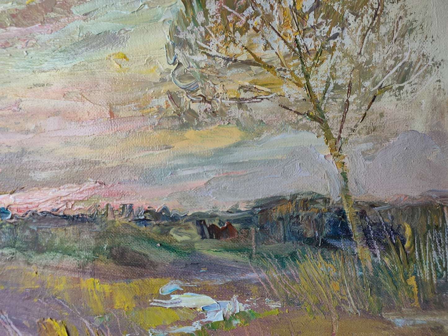 Evening countryside