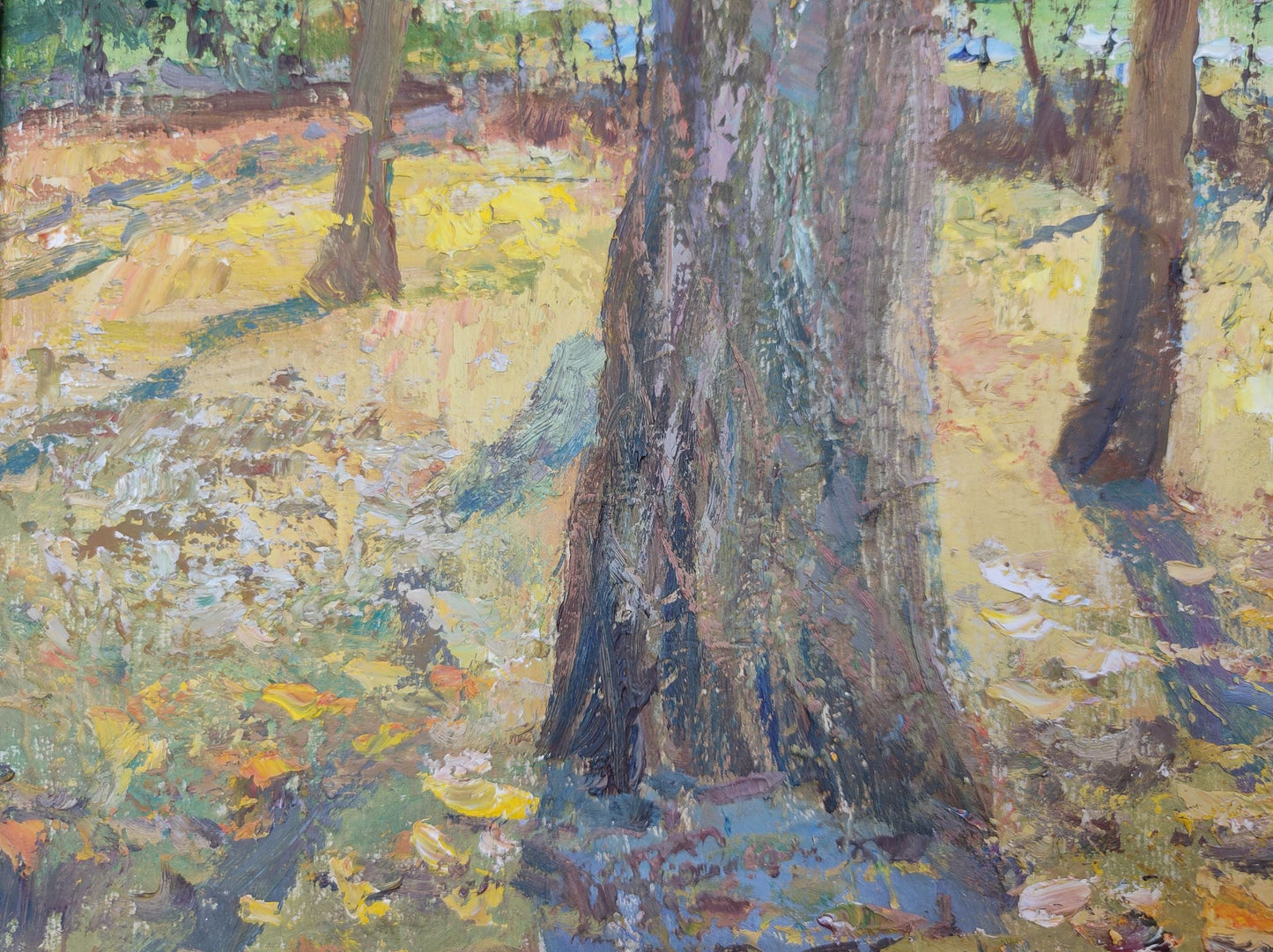 Forest landscape