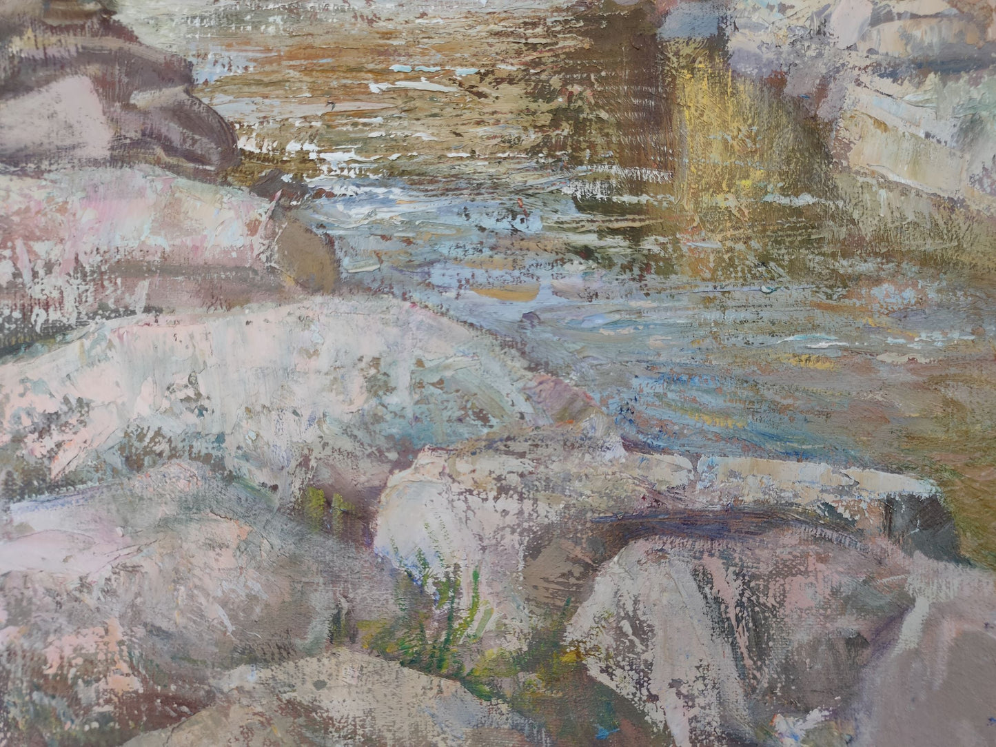 River Forest landscape