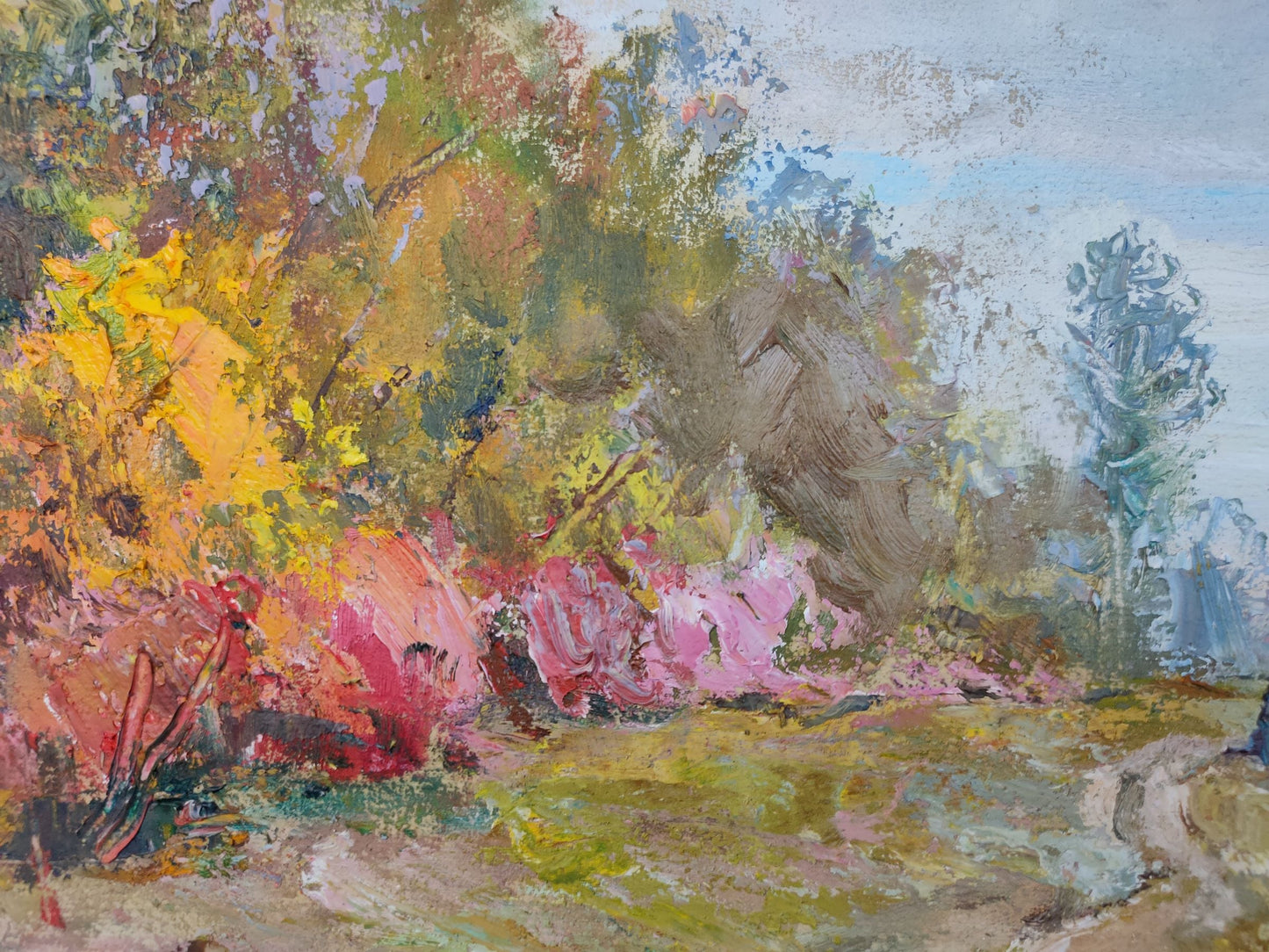 Autumn Forest landscape