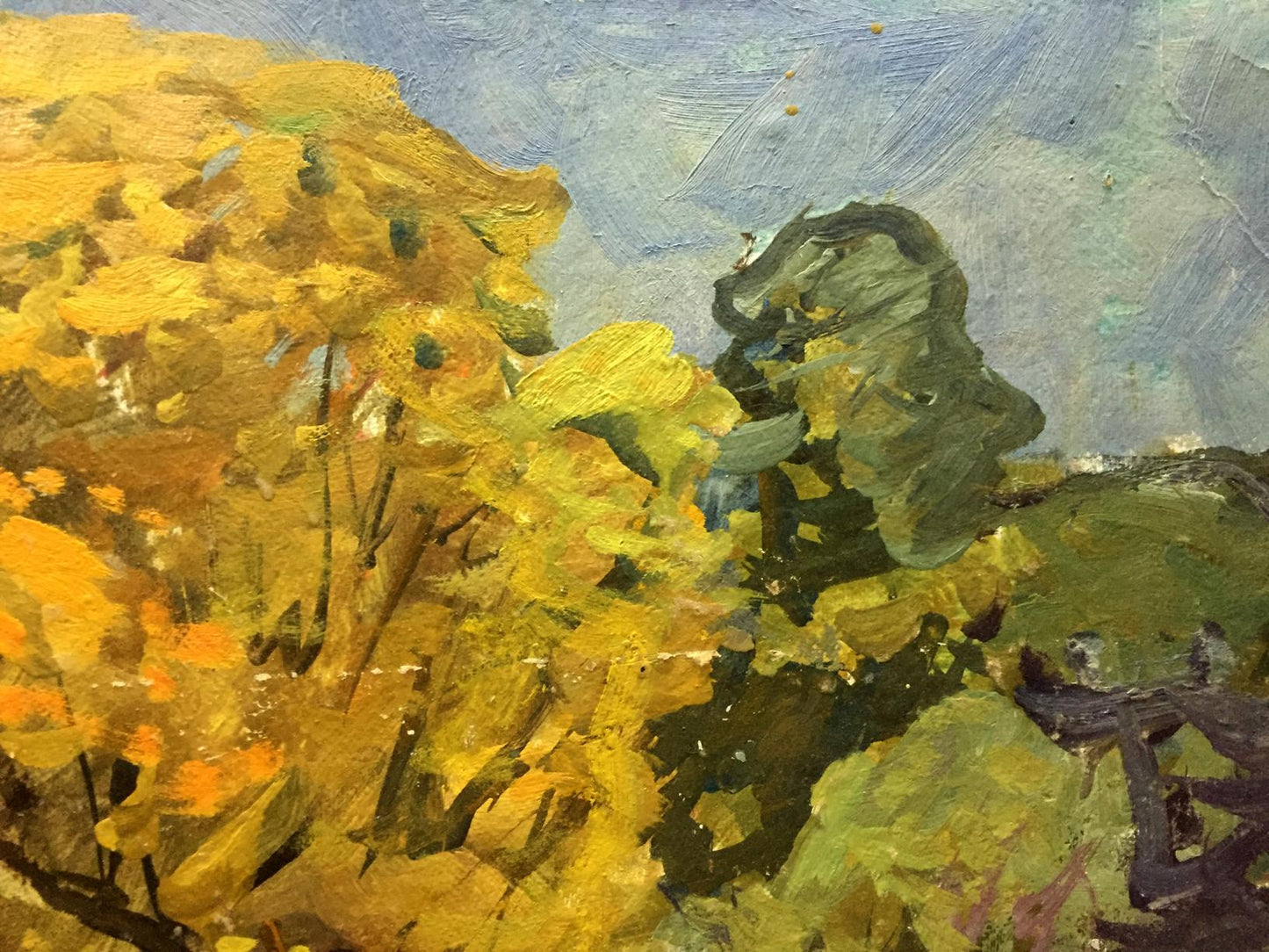 Oil Painting Forest
