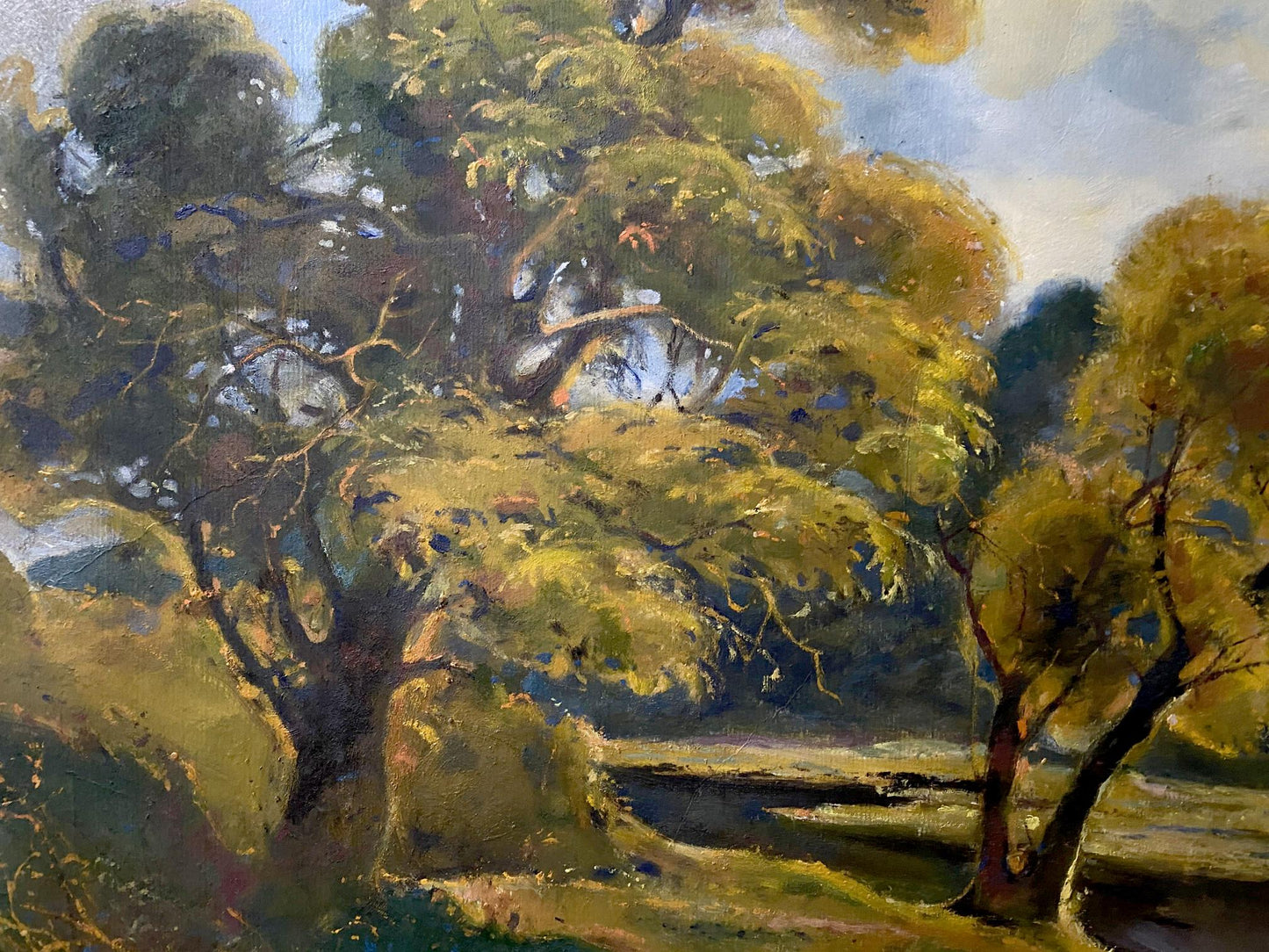 landscape forest