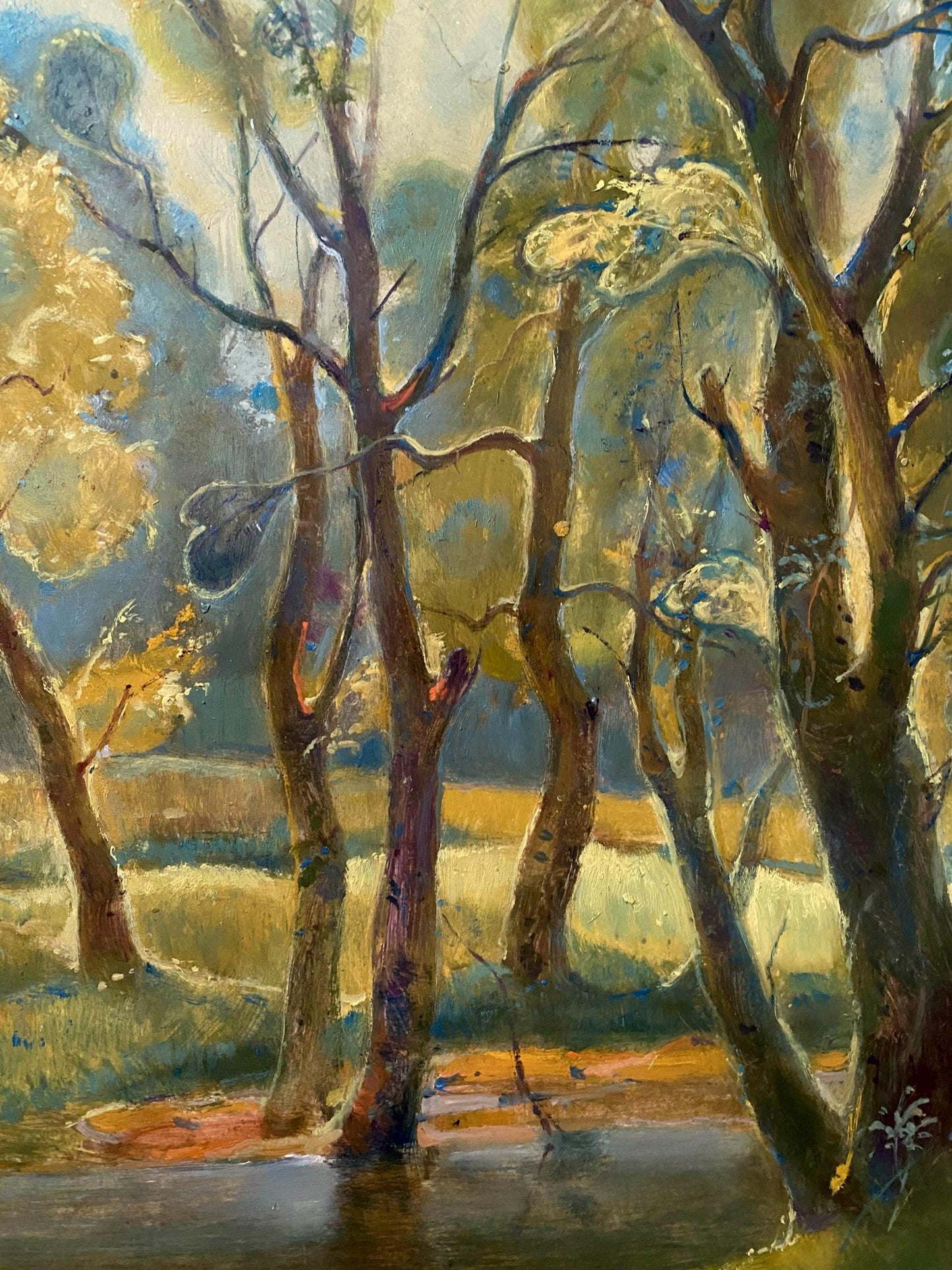 forest landscape