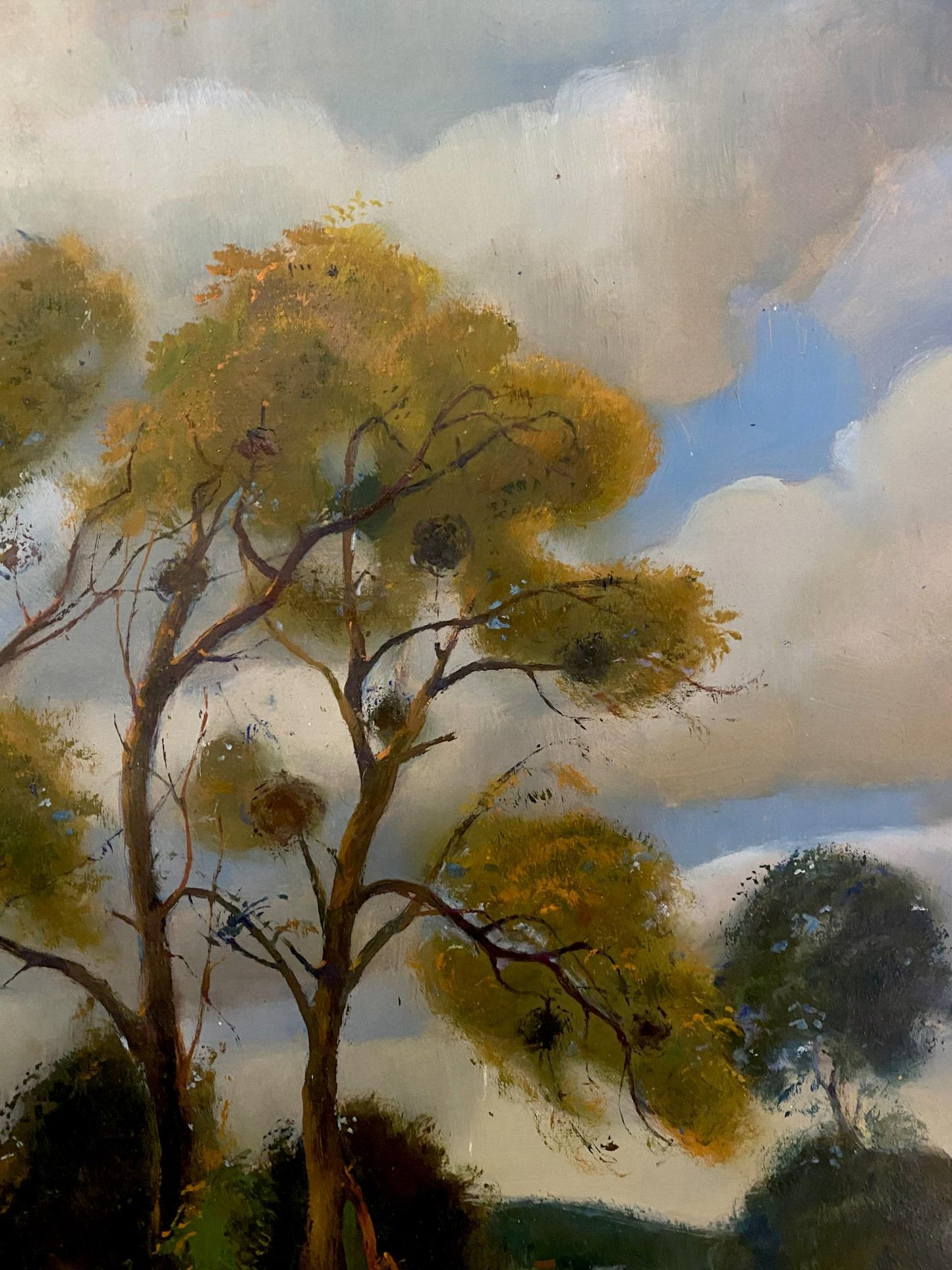autumn landscape