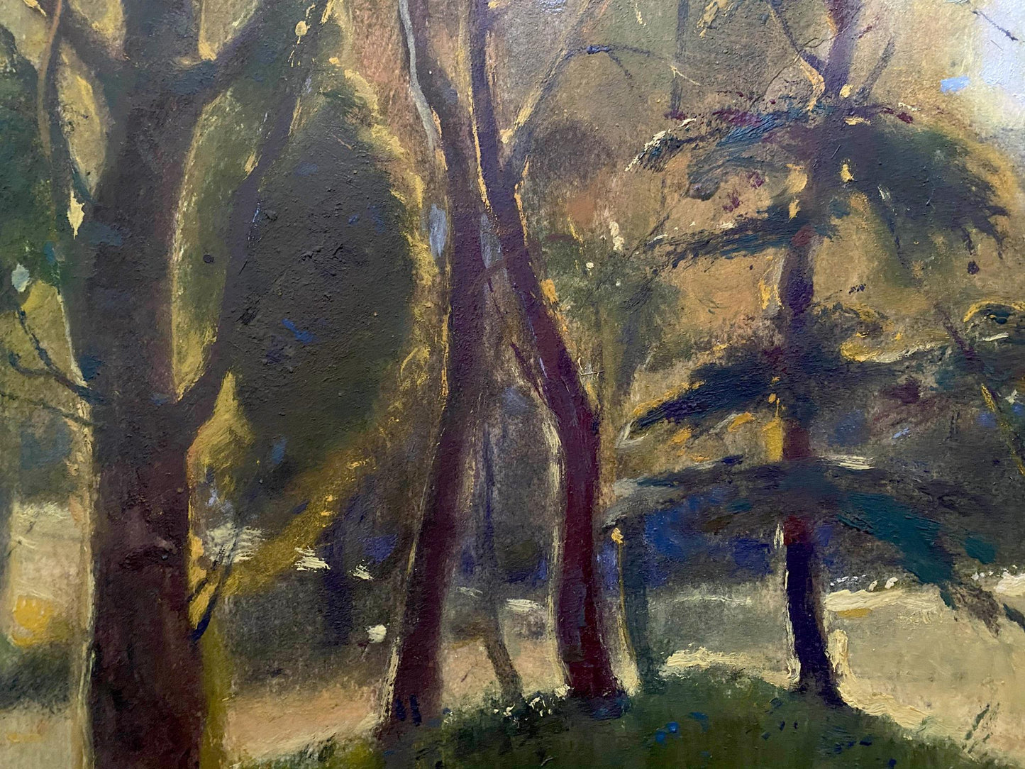 forest landscape