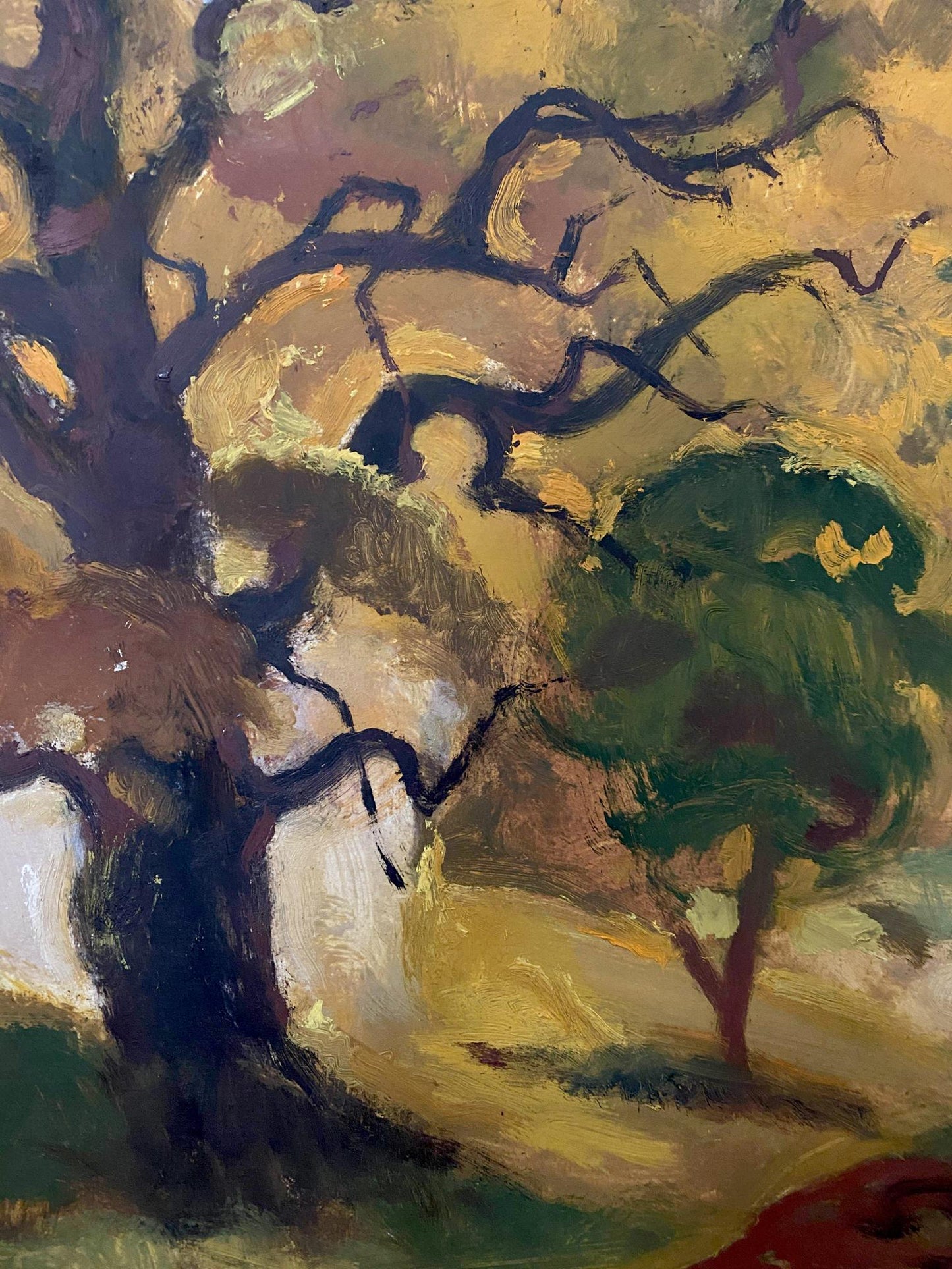 forest landscape