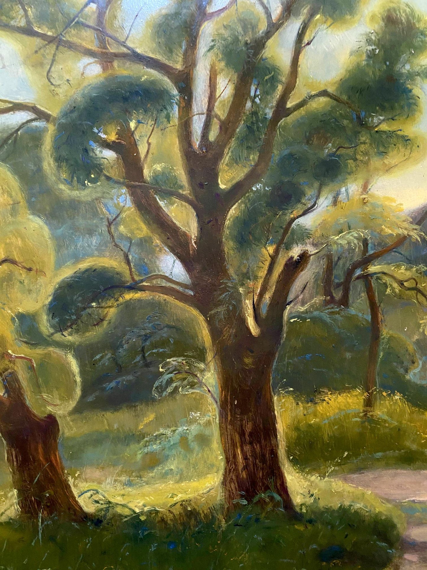 forest landscape
