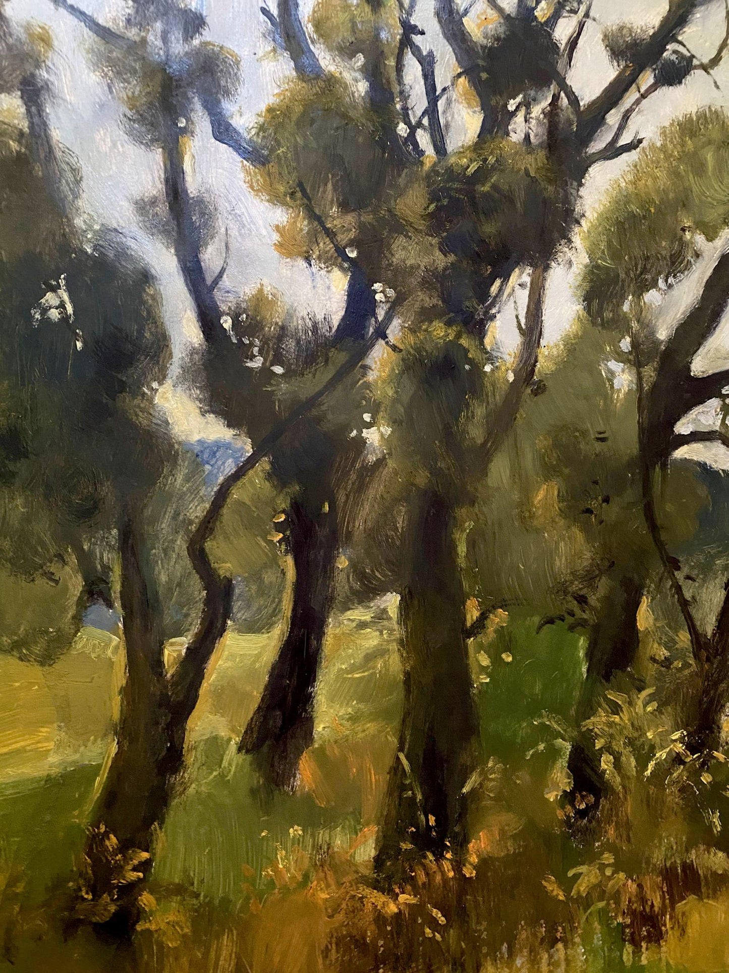forest painting