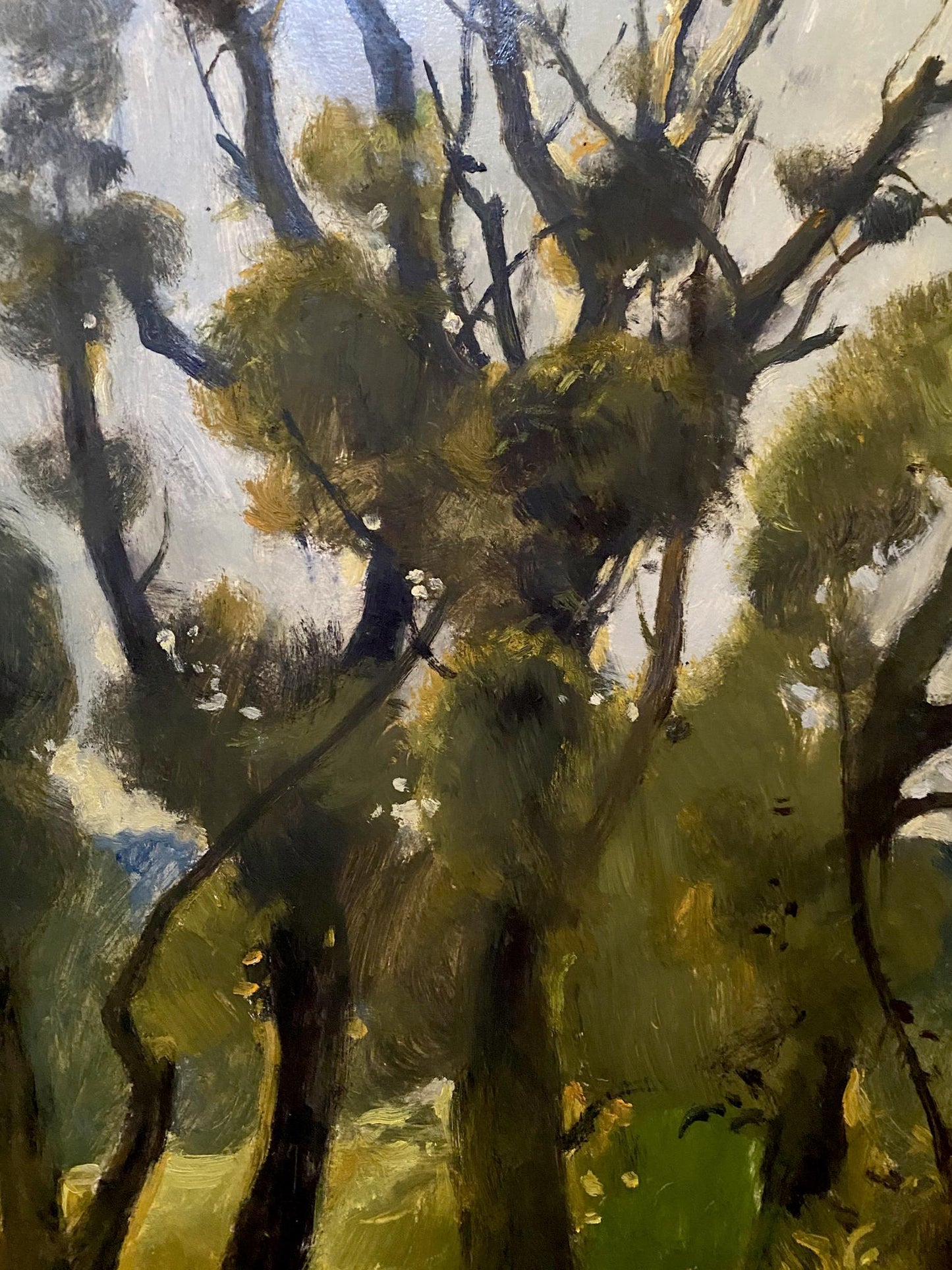 oil forest