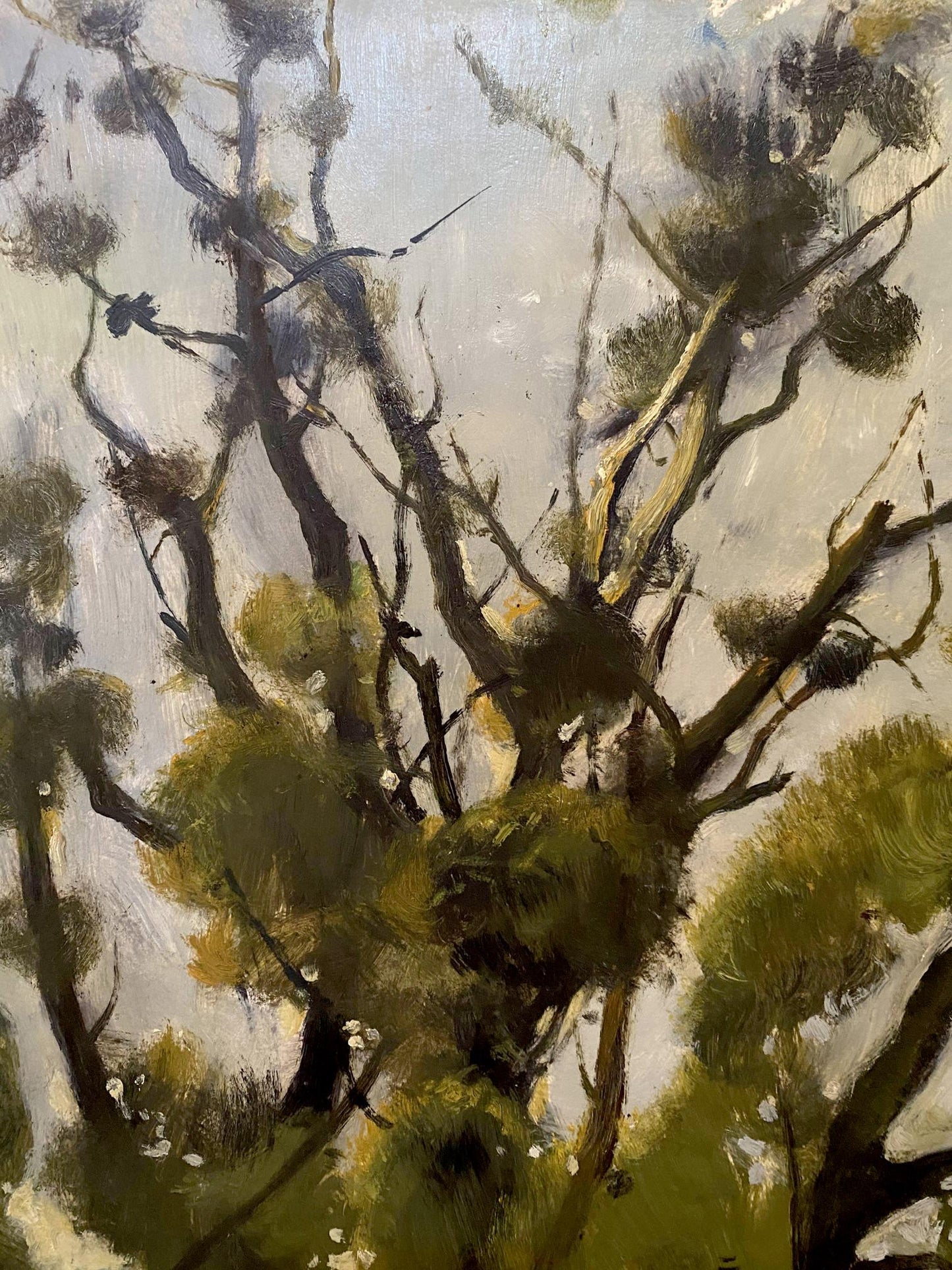 oil forest