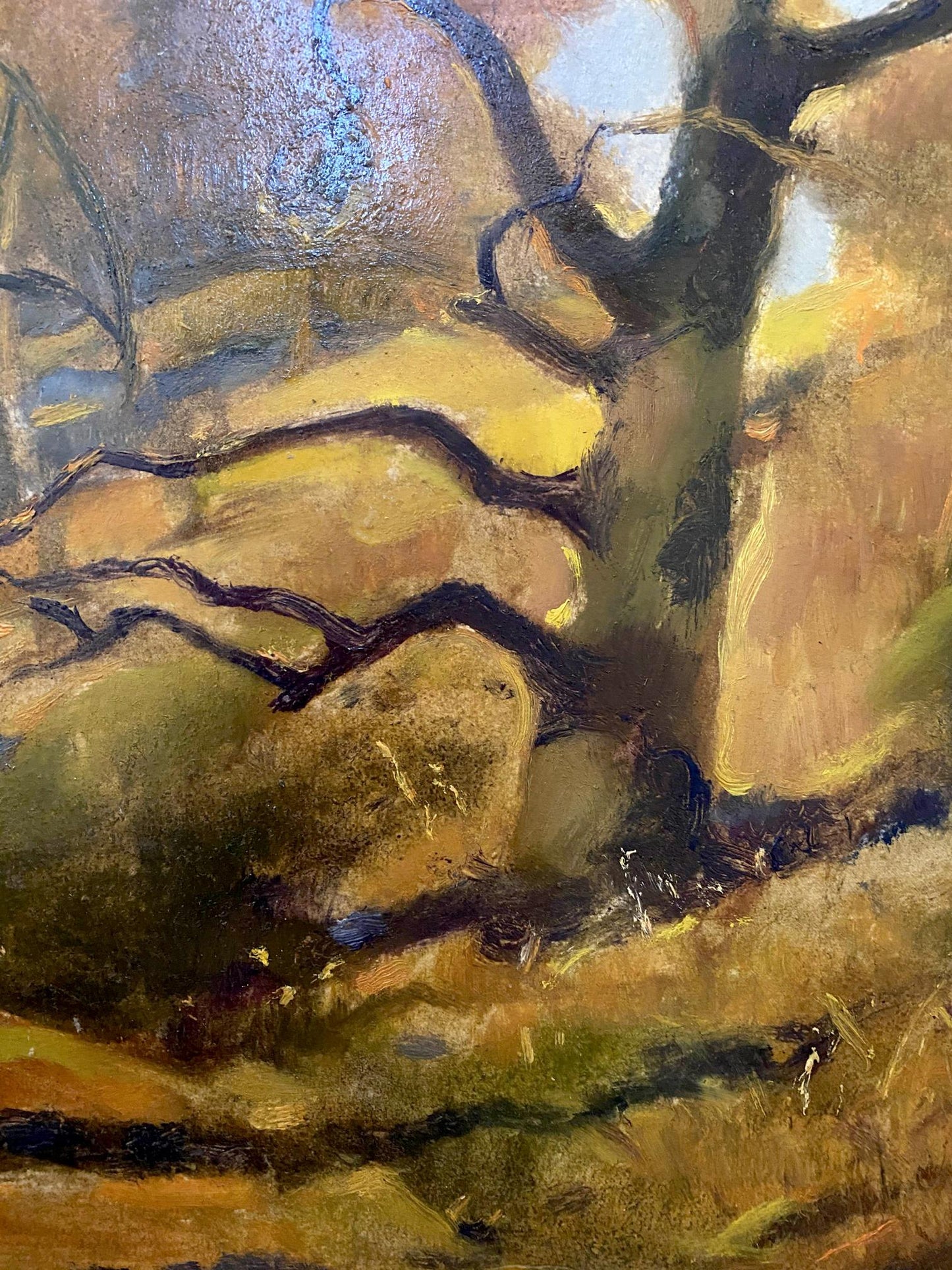 forest landscape