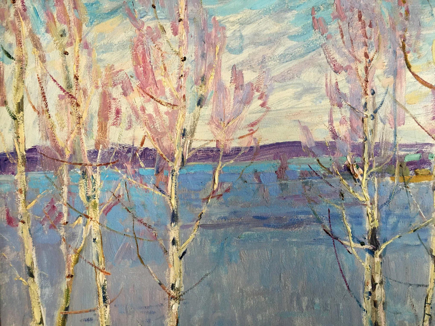 Oil painting Birch trees near the shore Glushchenko Nikolay Petrovich