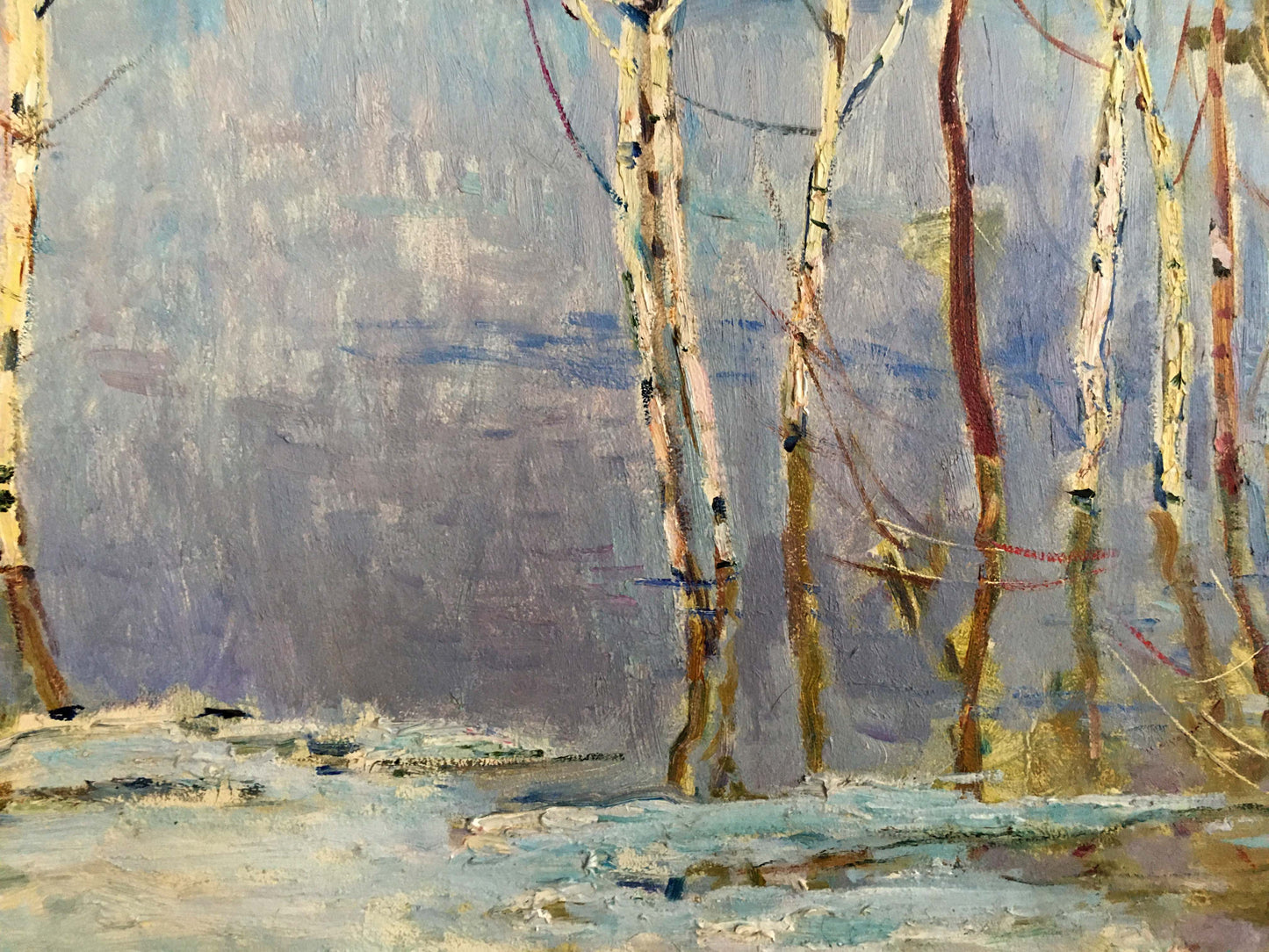 Oil painting Birch trees near the shore Glushchenko Nikolay Petrovich
