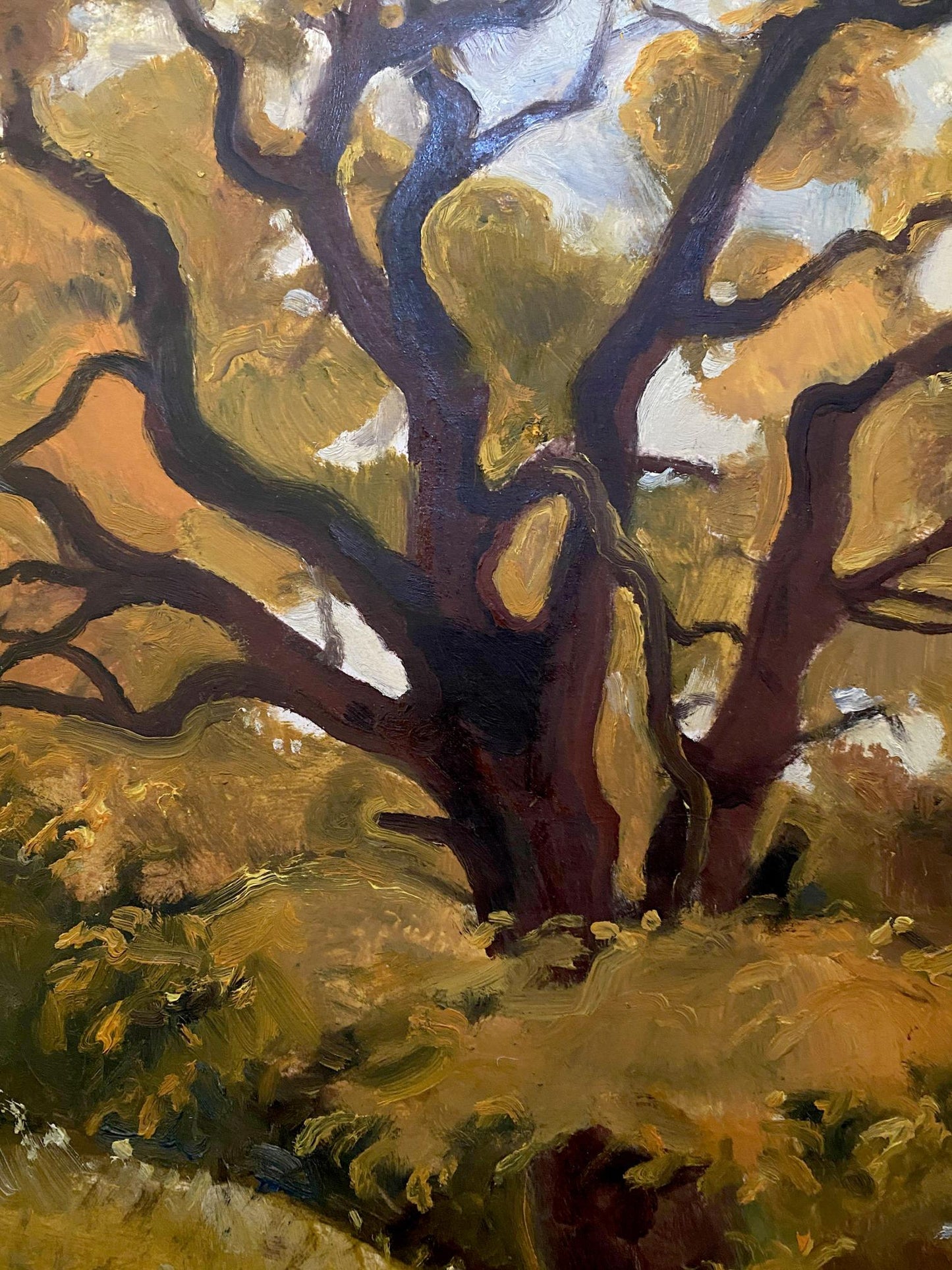 forest landscape