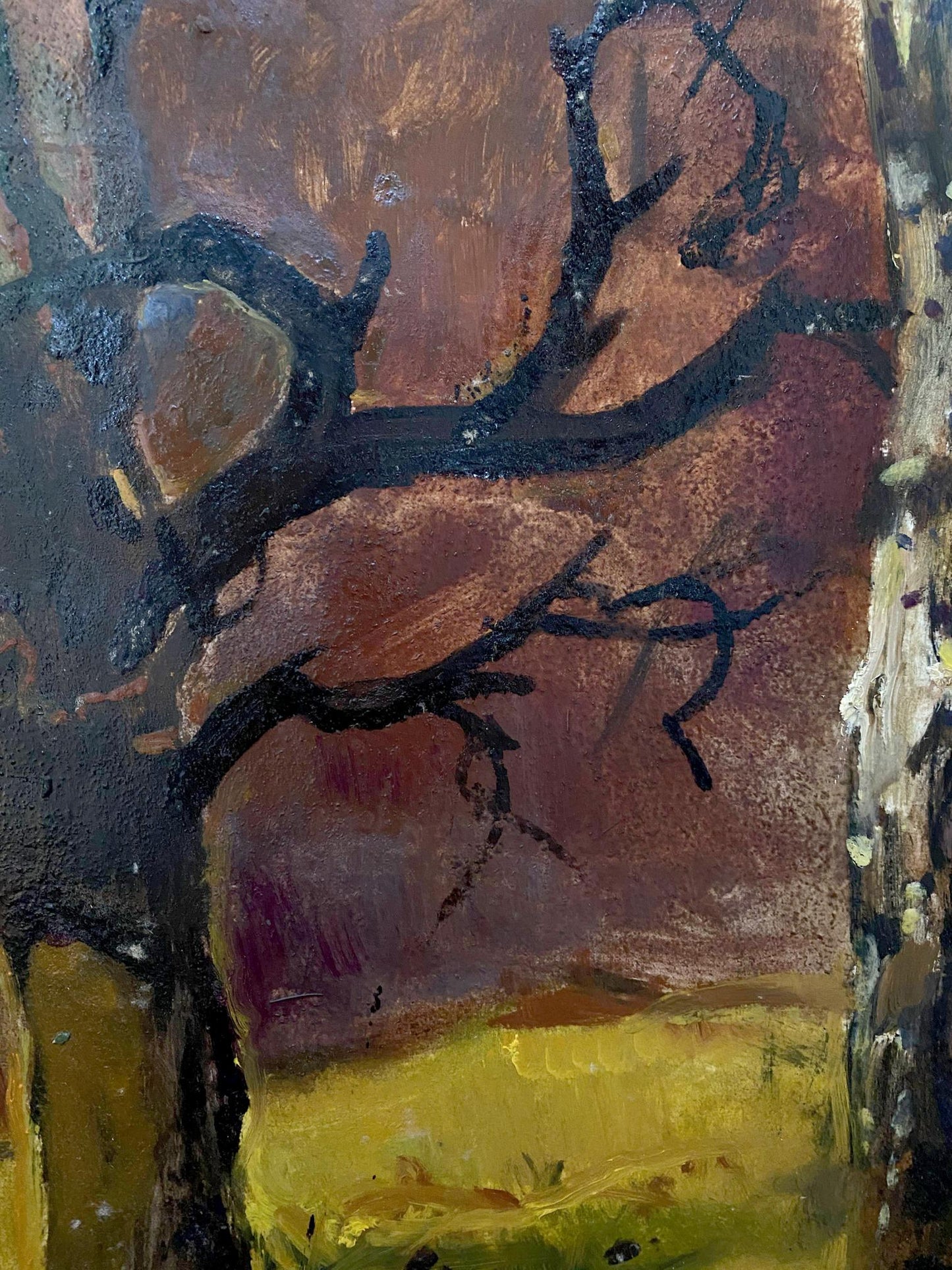oil nature