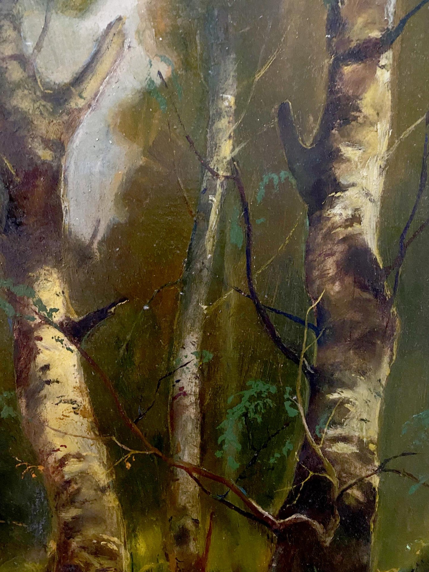 oil forest landscape