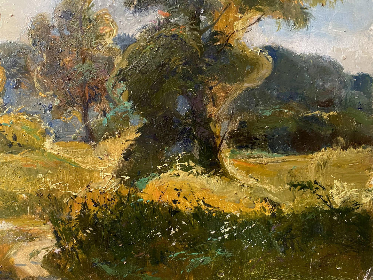 oil summer landscape
