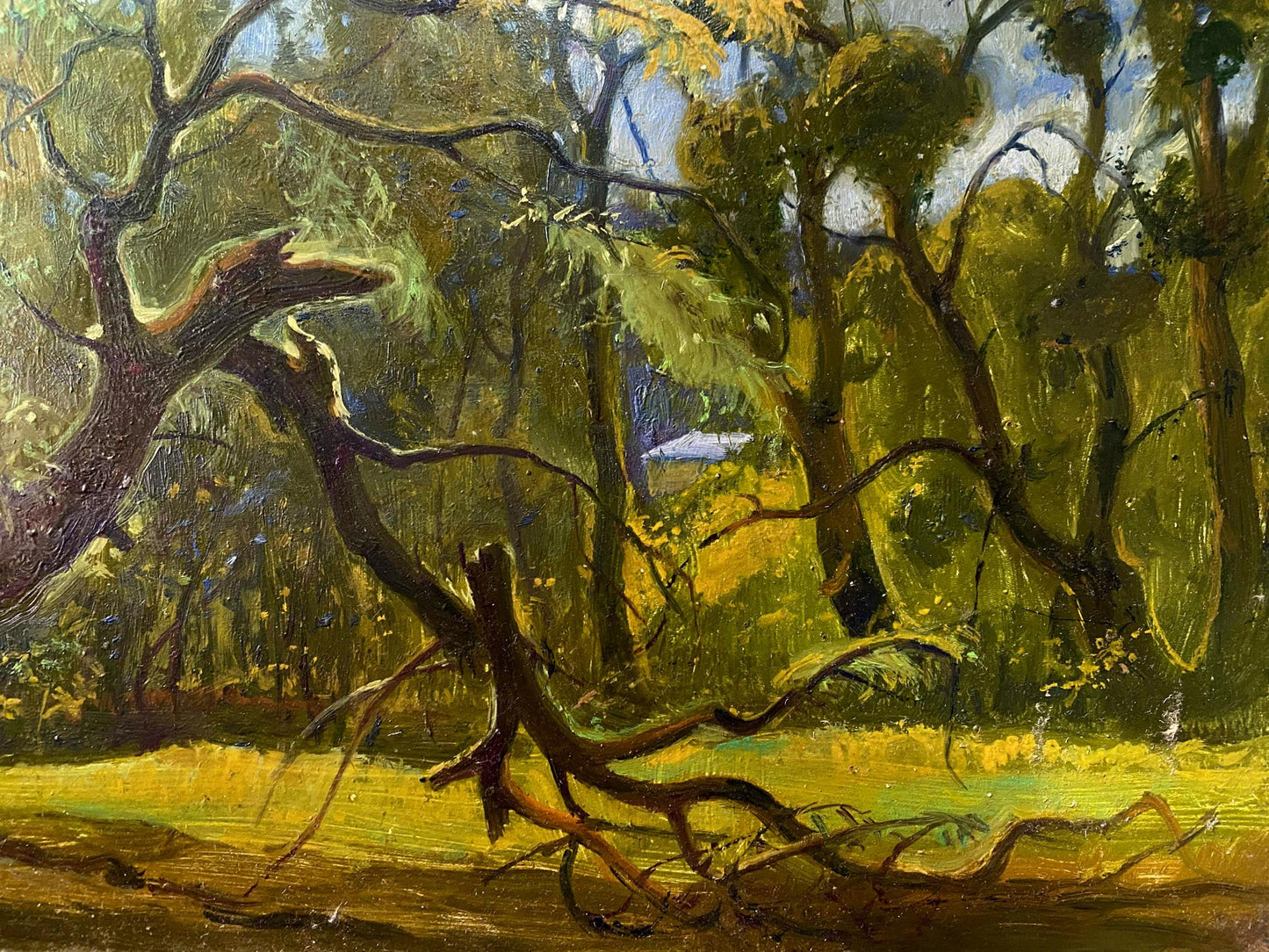 oil forest landscape