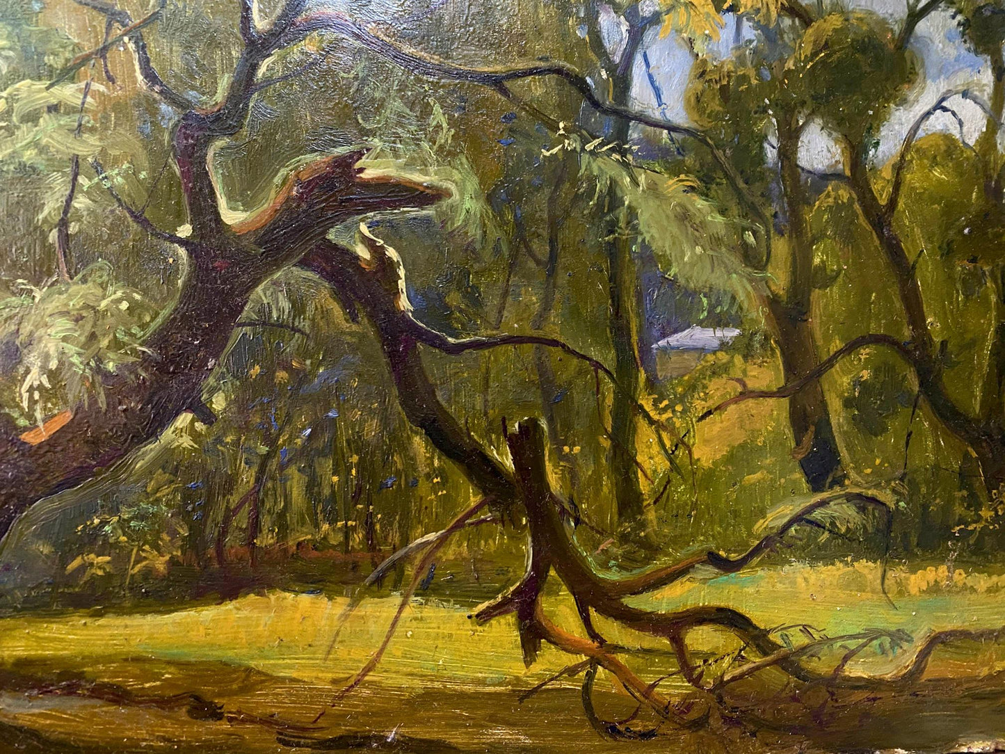 forest painting