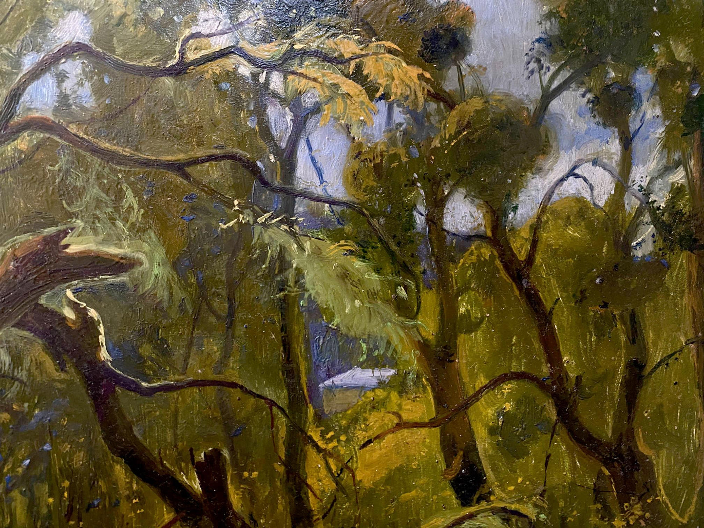 summer forest landscape