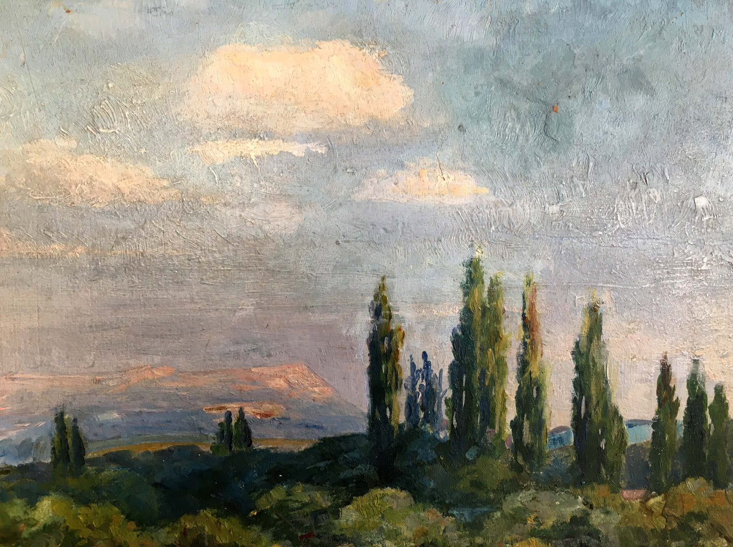 Oil painting In the garden Andrey Simor