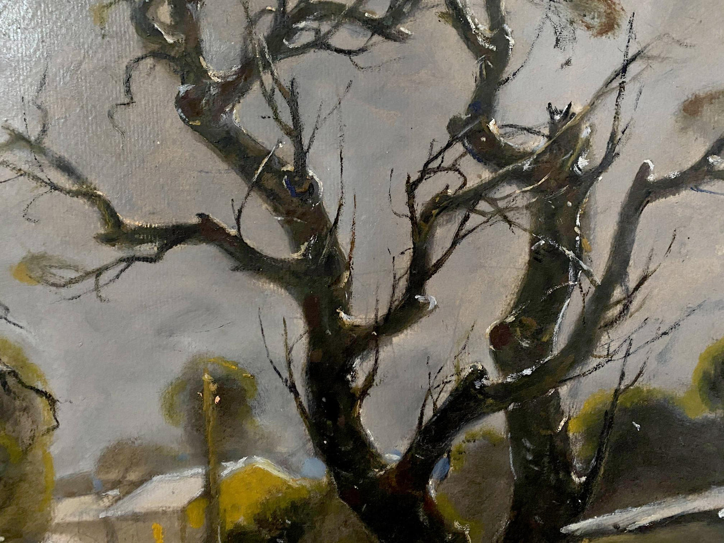 oil forest landscape