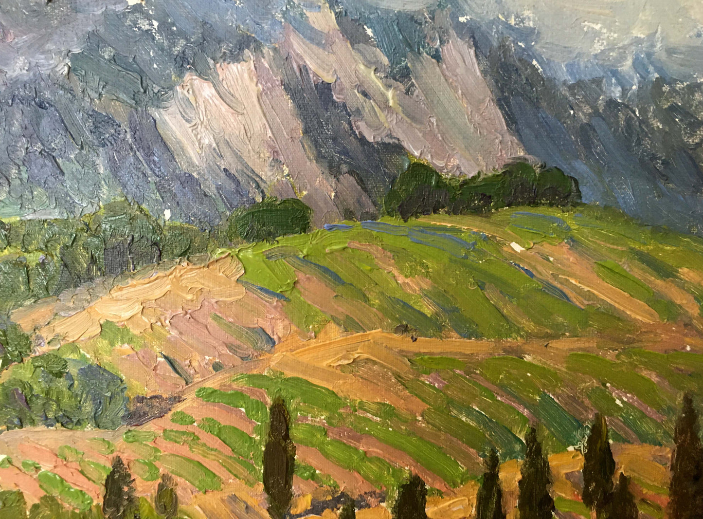 Oil painting Landscape of fields Zlyden Yuri Fedorovich