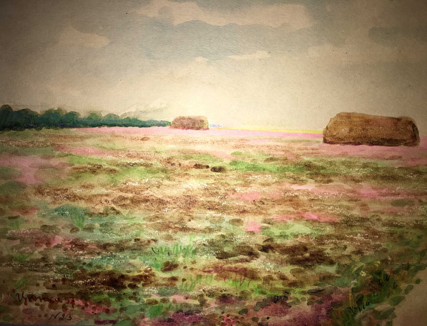 Clover field watercolor painting Ivan Kirillovich Zyupka