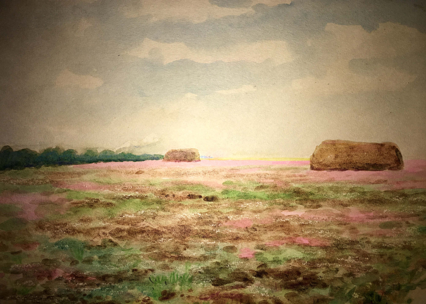 Clover field watercolor painting Ivan Kirillovich Zyupka