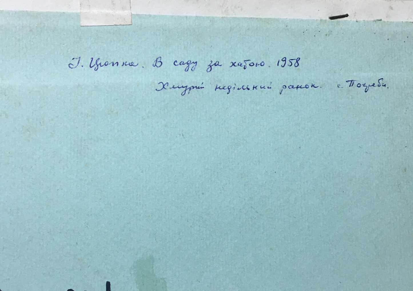 Oil painting Flowers near the house Ivan Kirillovich Tsyupka