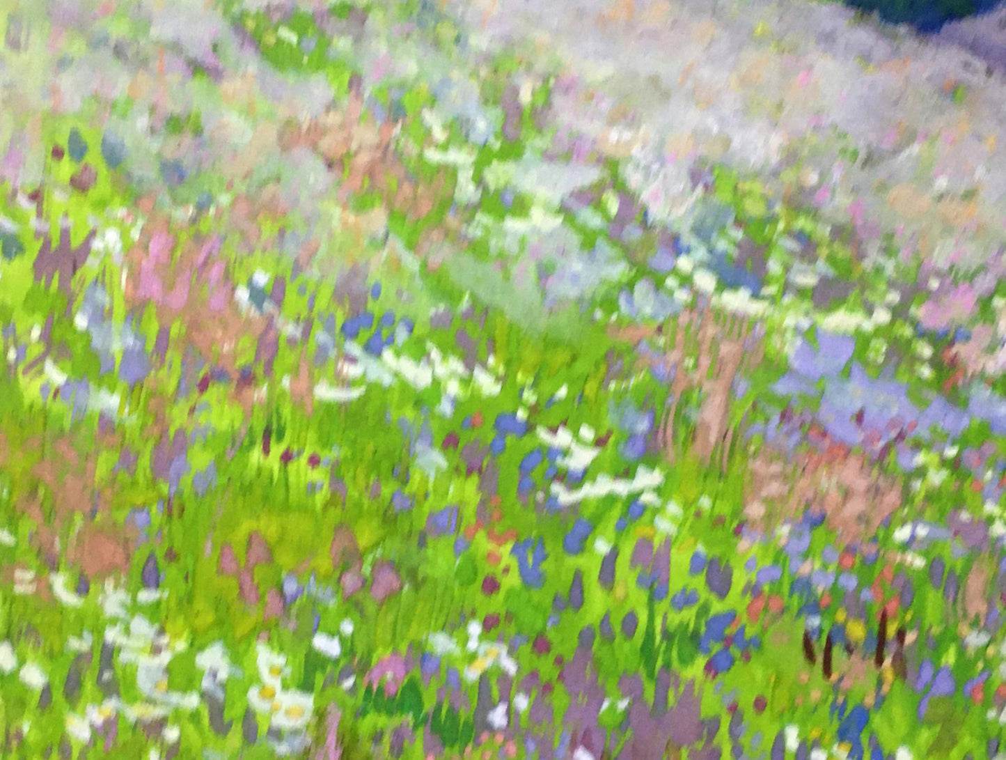 Watercolor painting Flower field Ivan Kirillovich Tsyupka