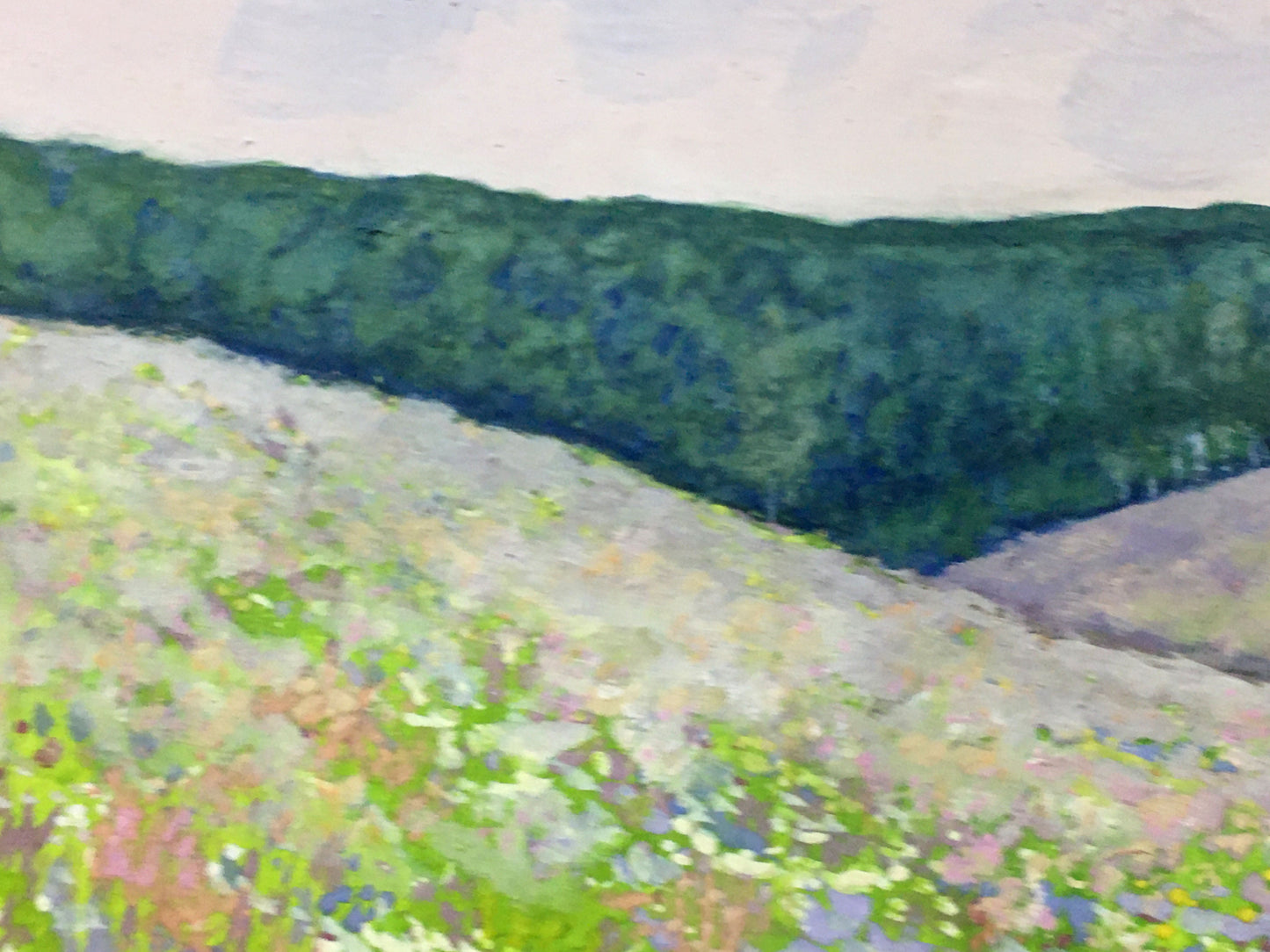 Watercolor painting Flower field Ivan Kirillovich Tsyupka