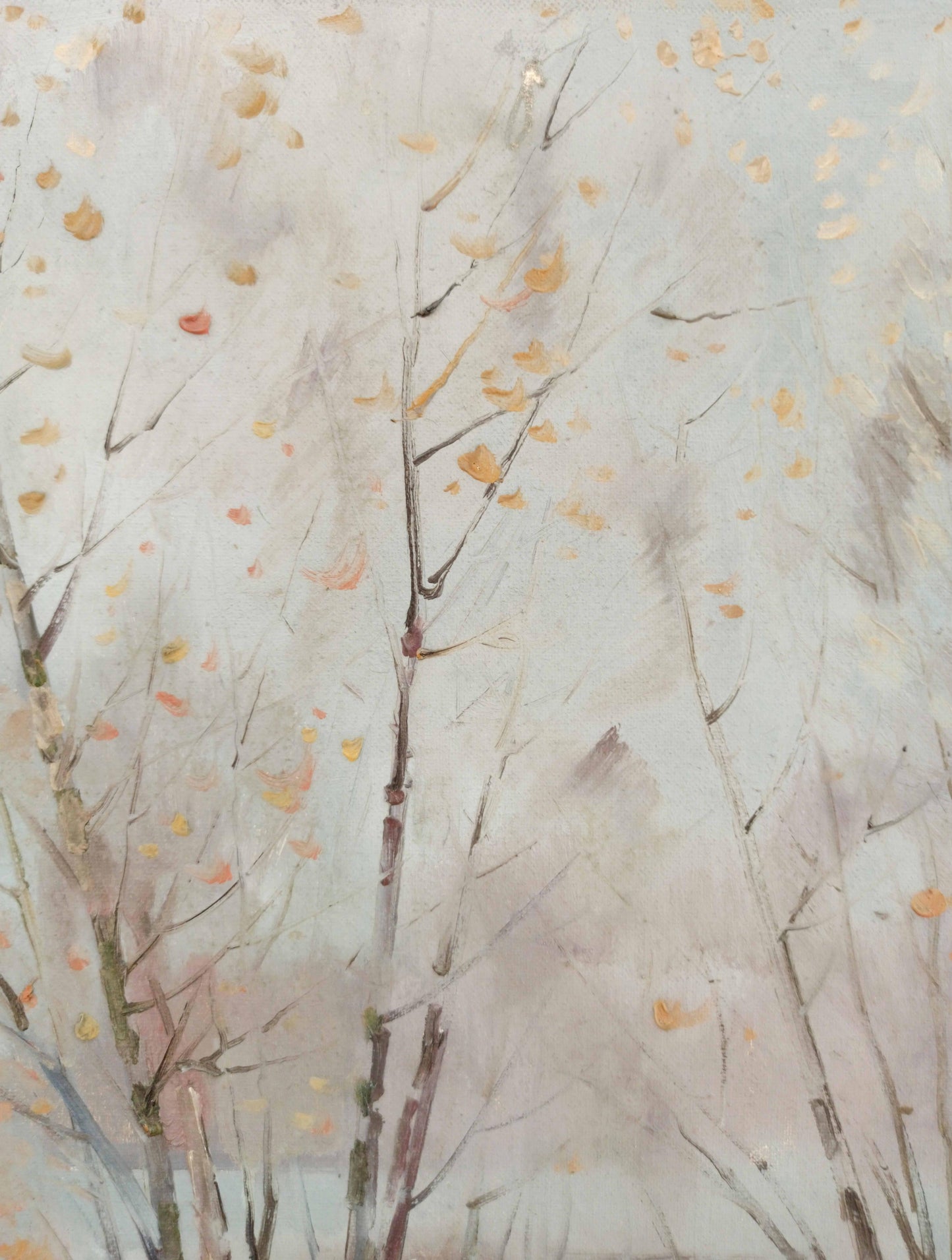 Nature Landscape
