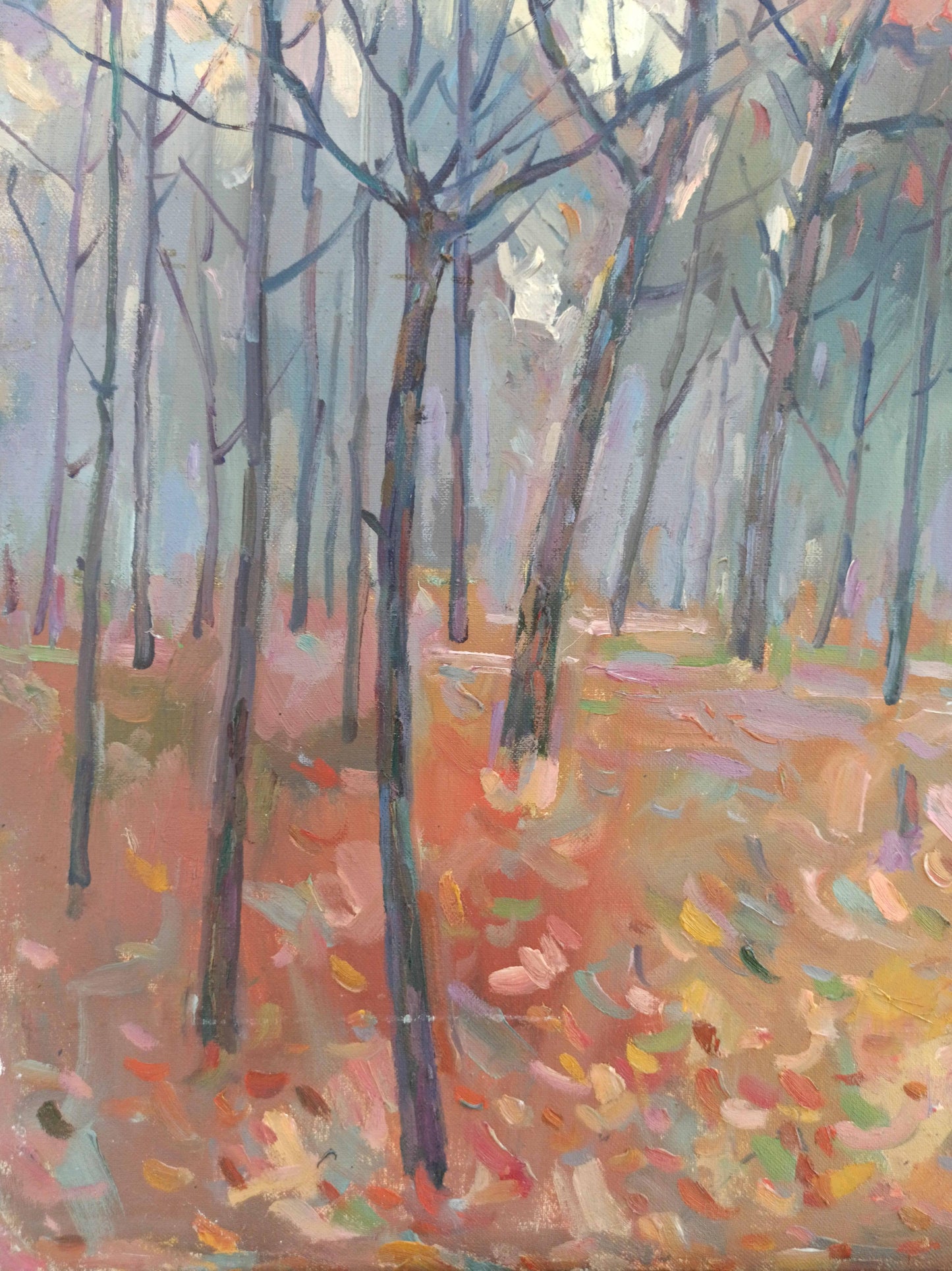Nature Landscape Forest landscape