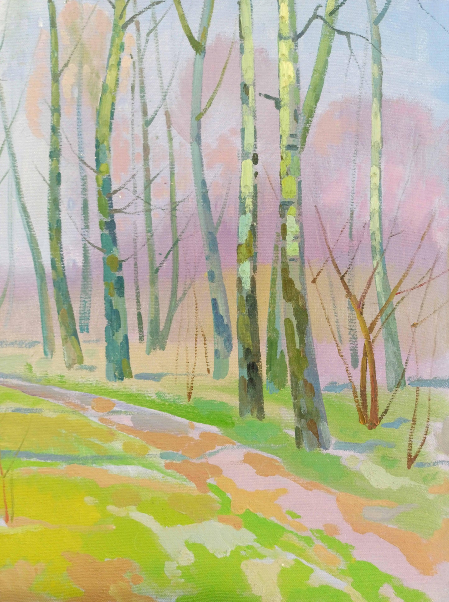 Spring Nature
