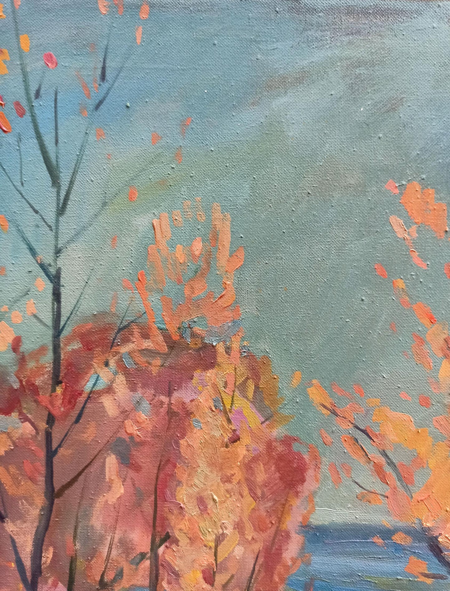 Fall Colors