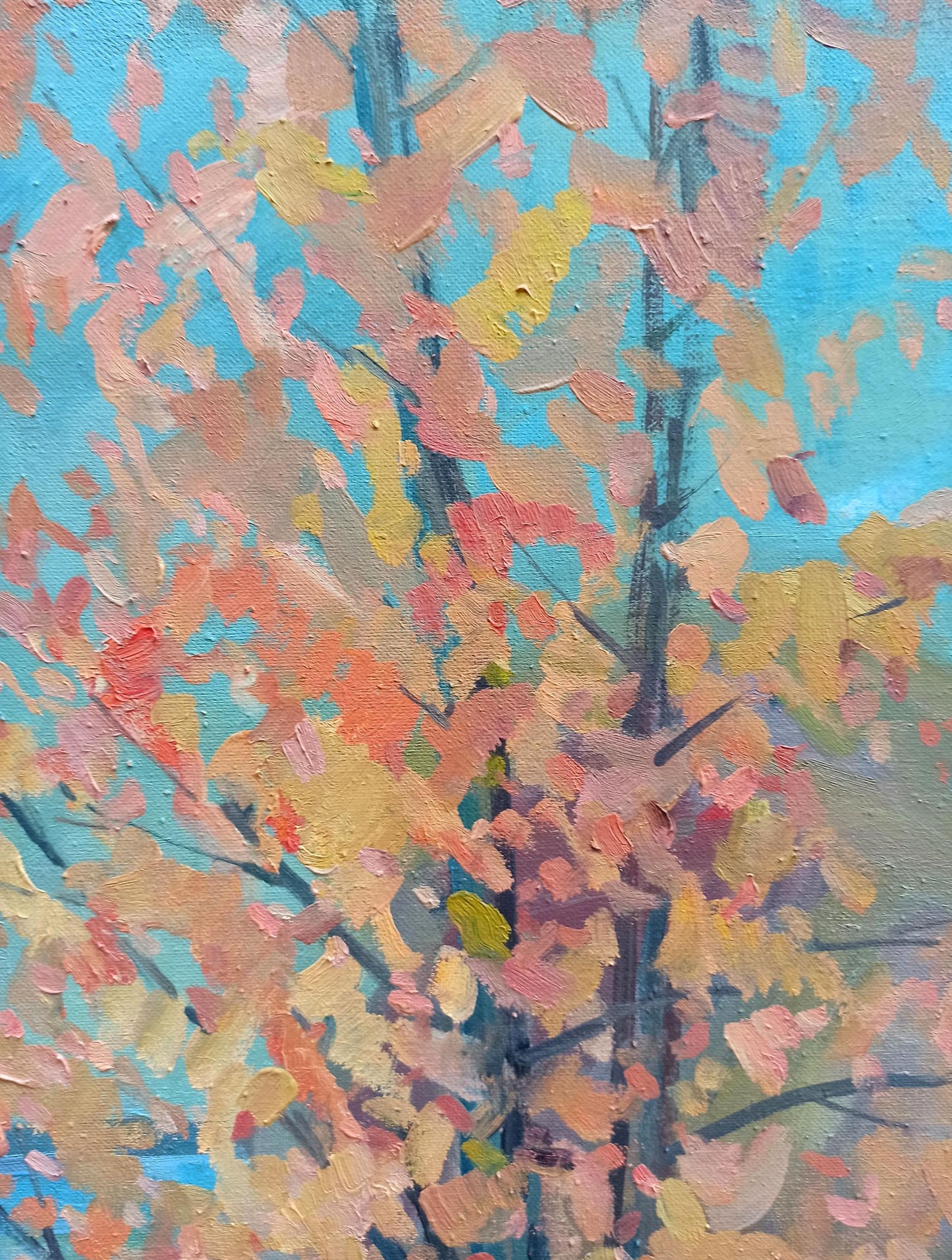 Nature Landscape